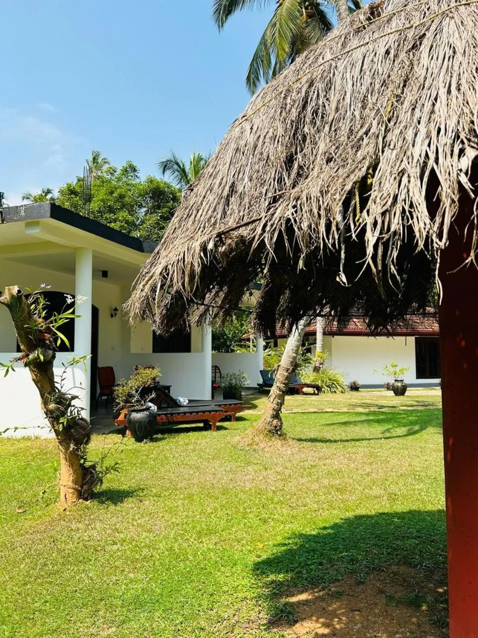 Garden view in Traum Villa