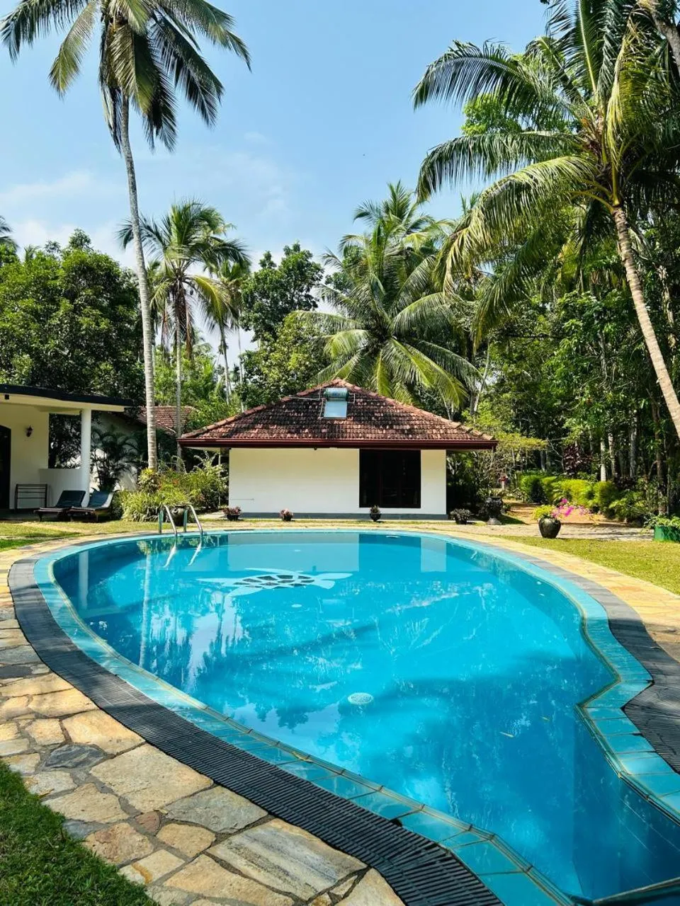 Swimming pool in Traum Villa
