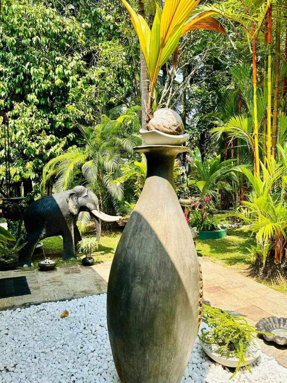 Garden in Traum Villa