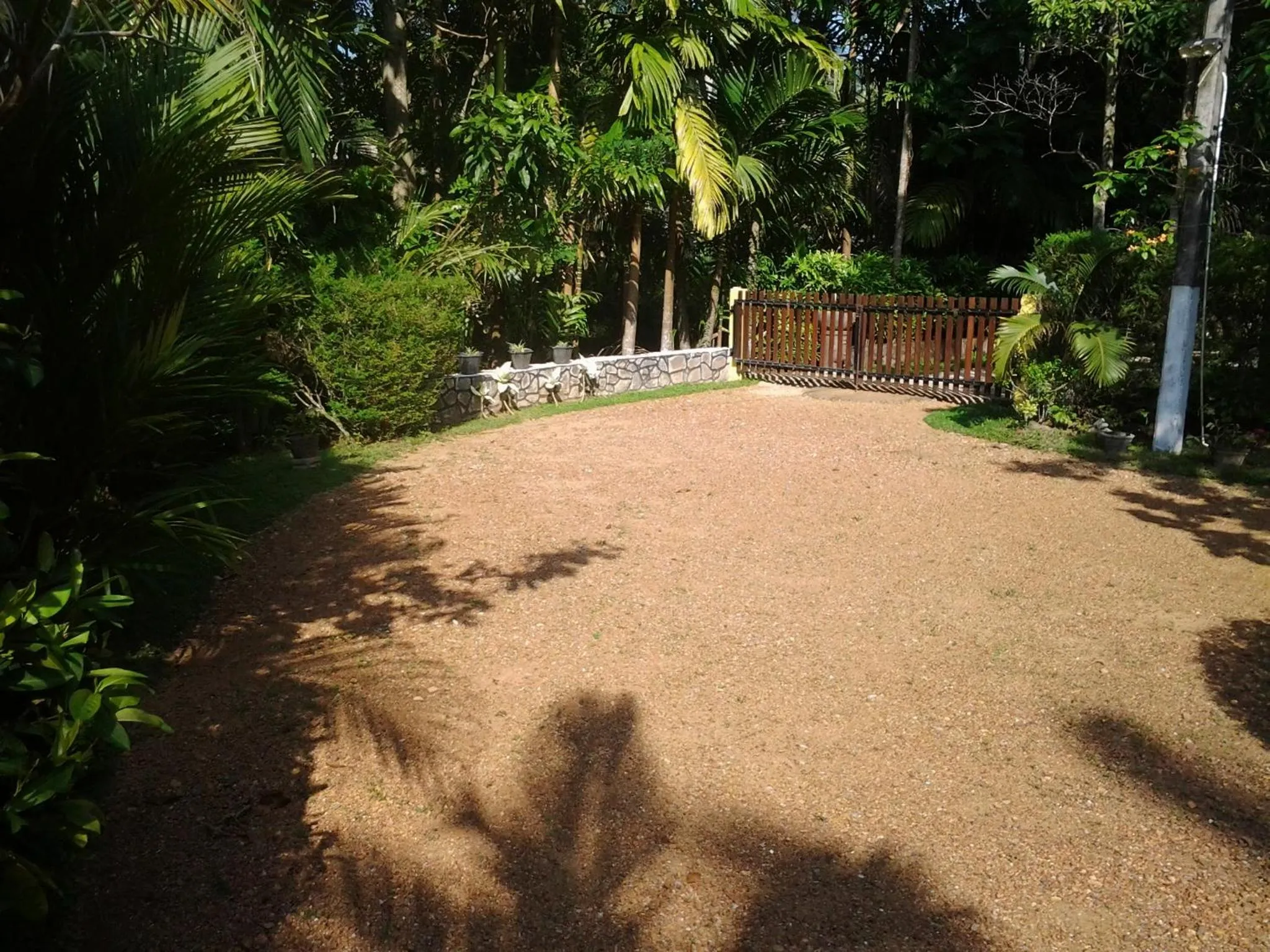 Garden in Traum Villa
