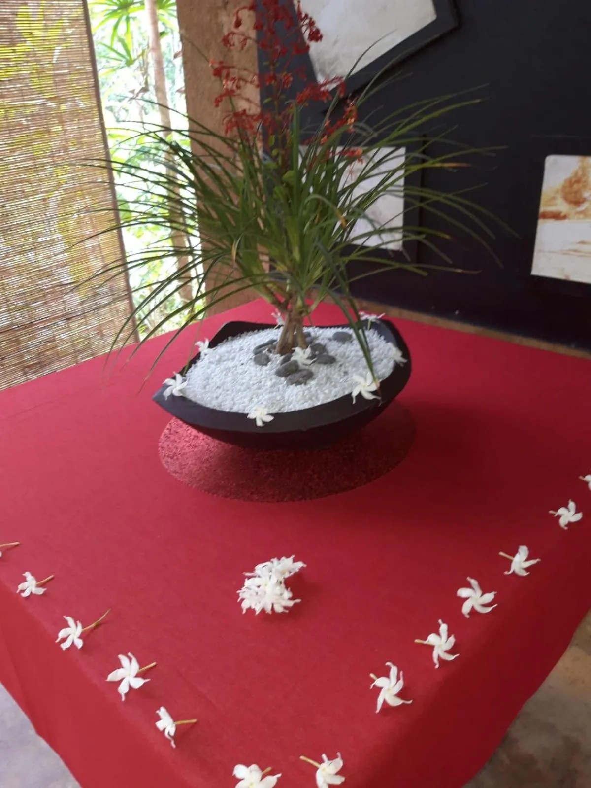 Spa and wellness centre/facilities in Traum Villa