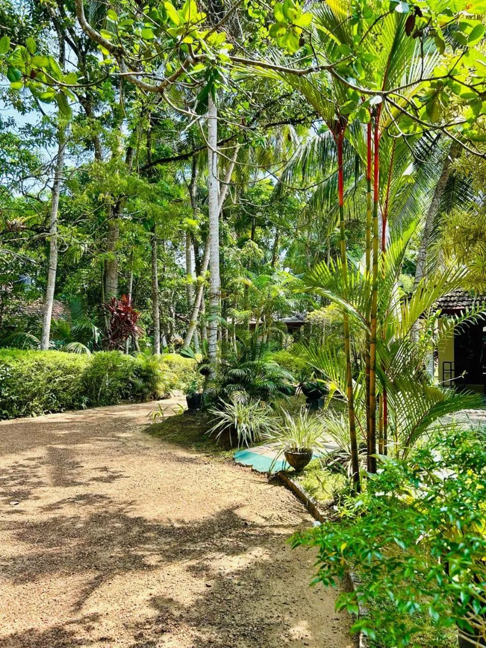 Garden in Traum Villa