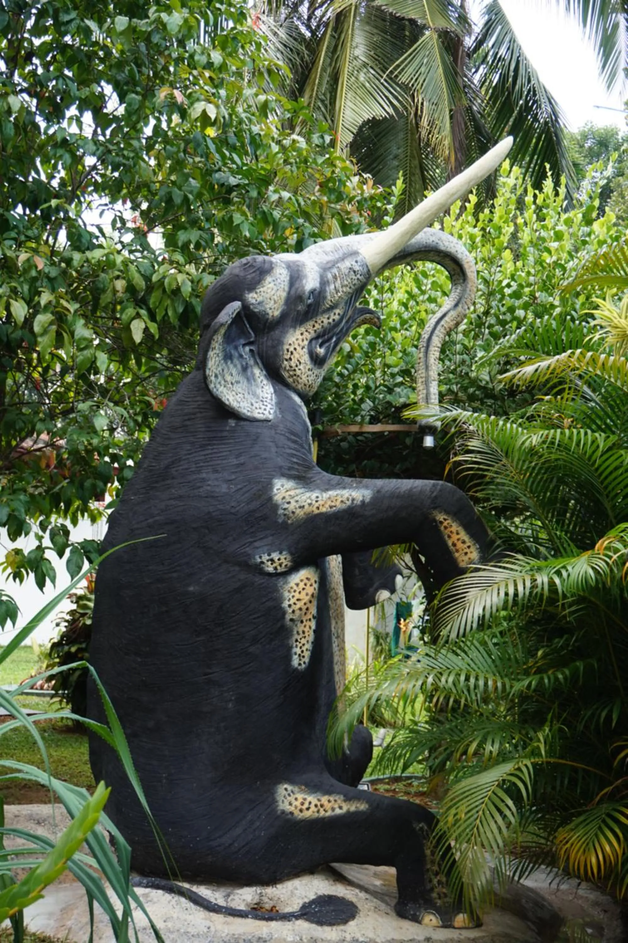 Garden in Traum Villa