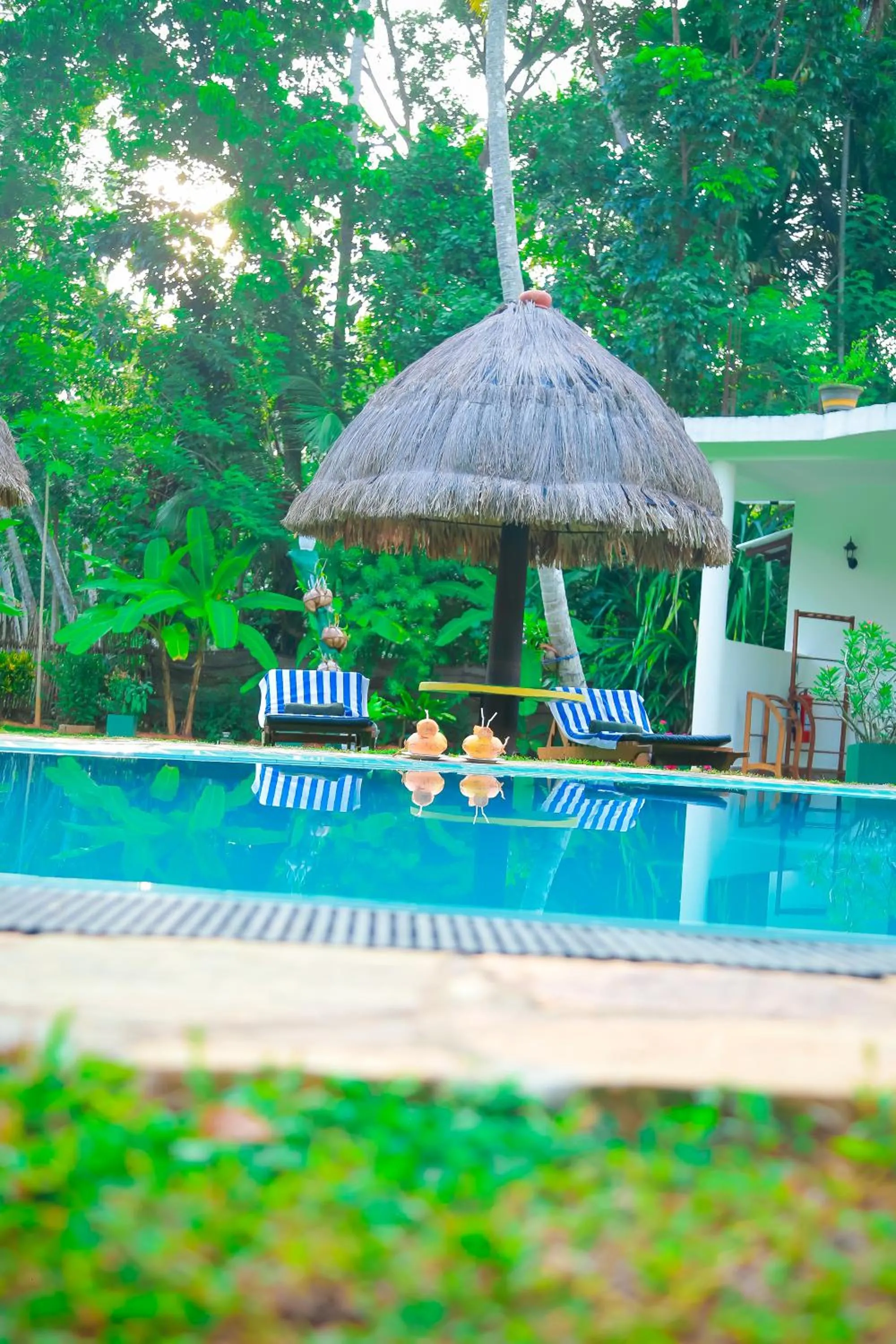 Garden in Traum Villa