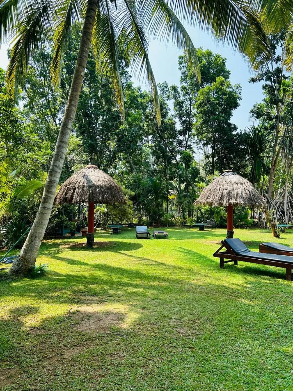 Garden in Traum Villa