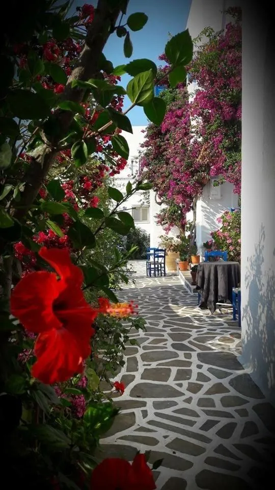 Pelagos Studios