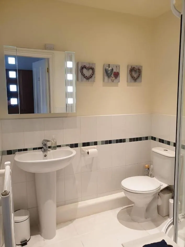 Shower in Bod Gwynedd Bed and Breakfast