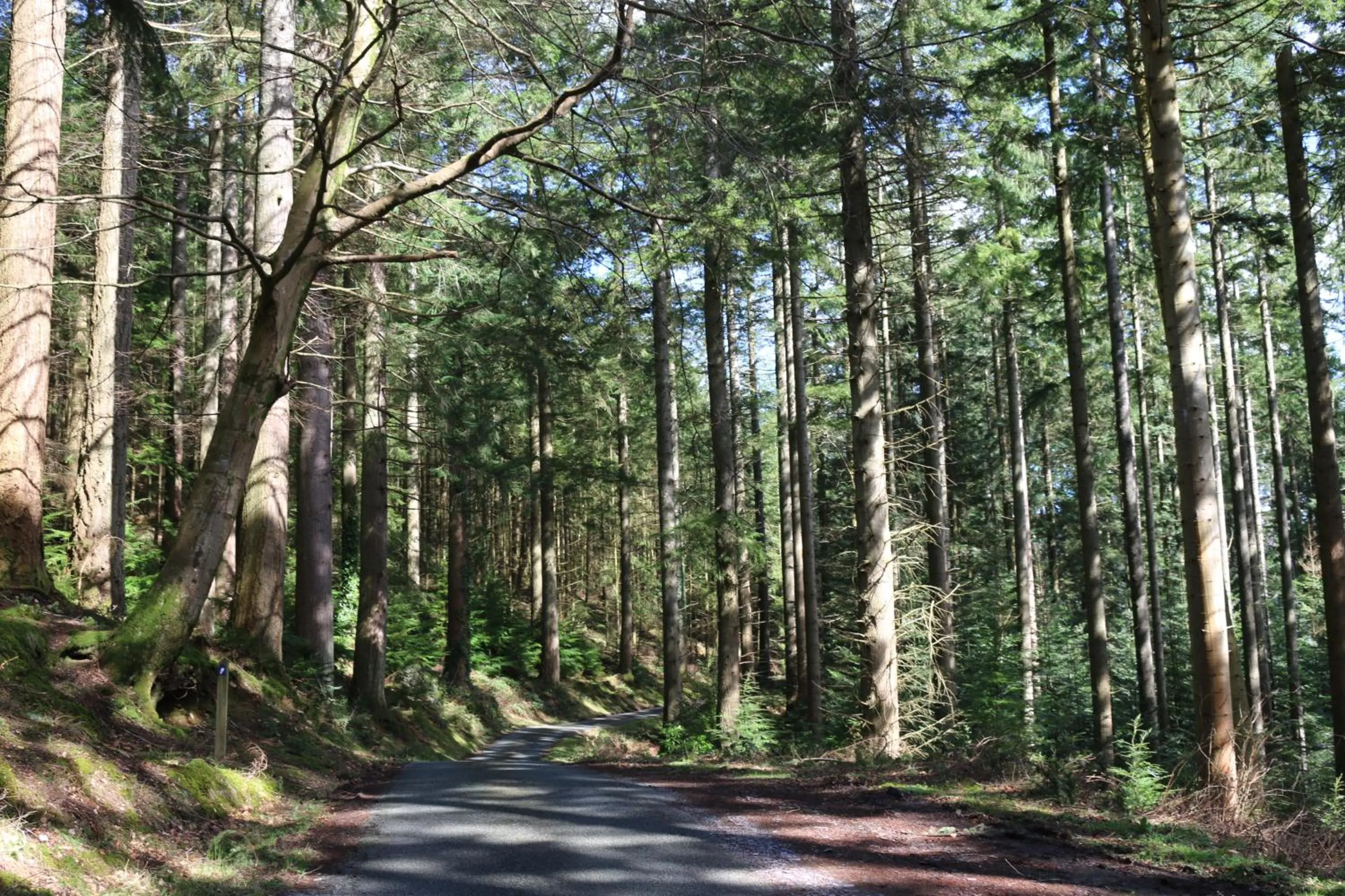 Natural landscape in Bod Gwynedd Bed and Breakfast