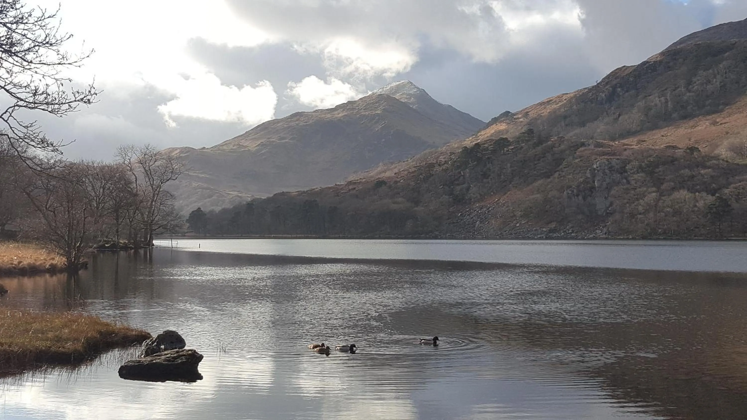 Nearby landmark in Bod Gwynedd Bed and Breakfast