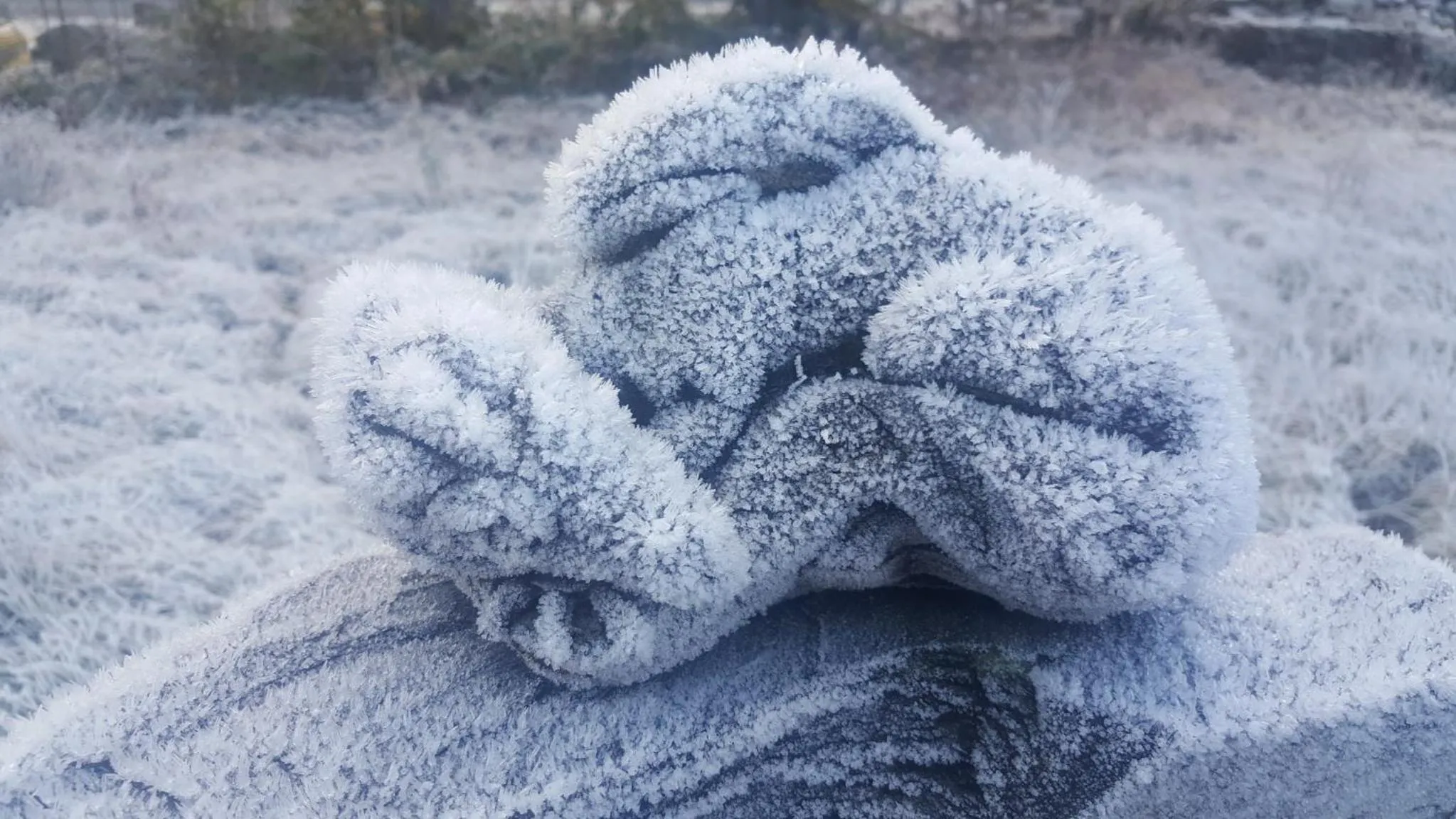 Winter in Bod Gwynedd Bed and Breakfast