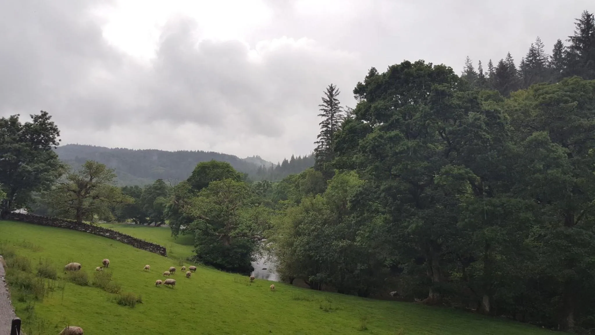 Street view in Bod Gwynedd Bed and Breakfast