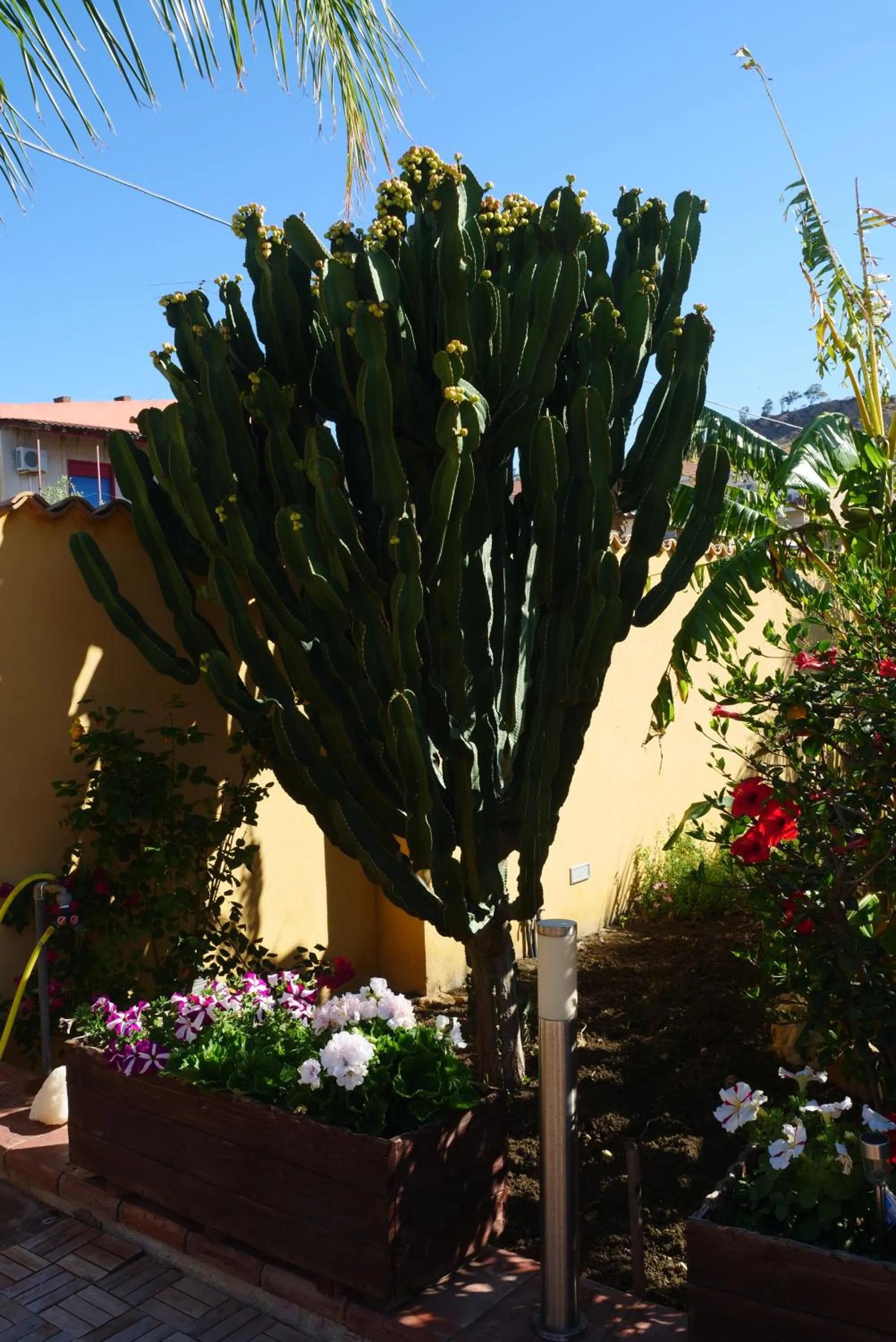 Garden in B&B Templi e Arte