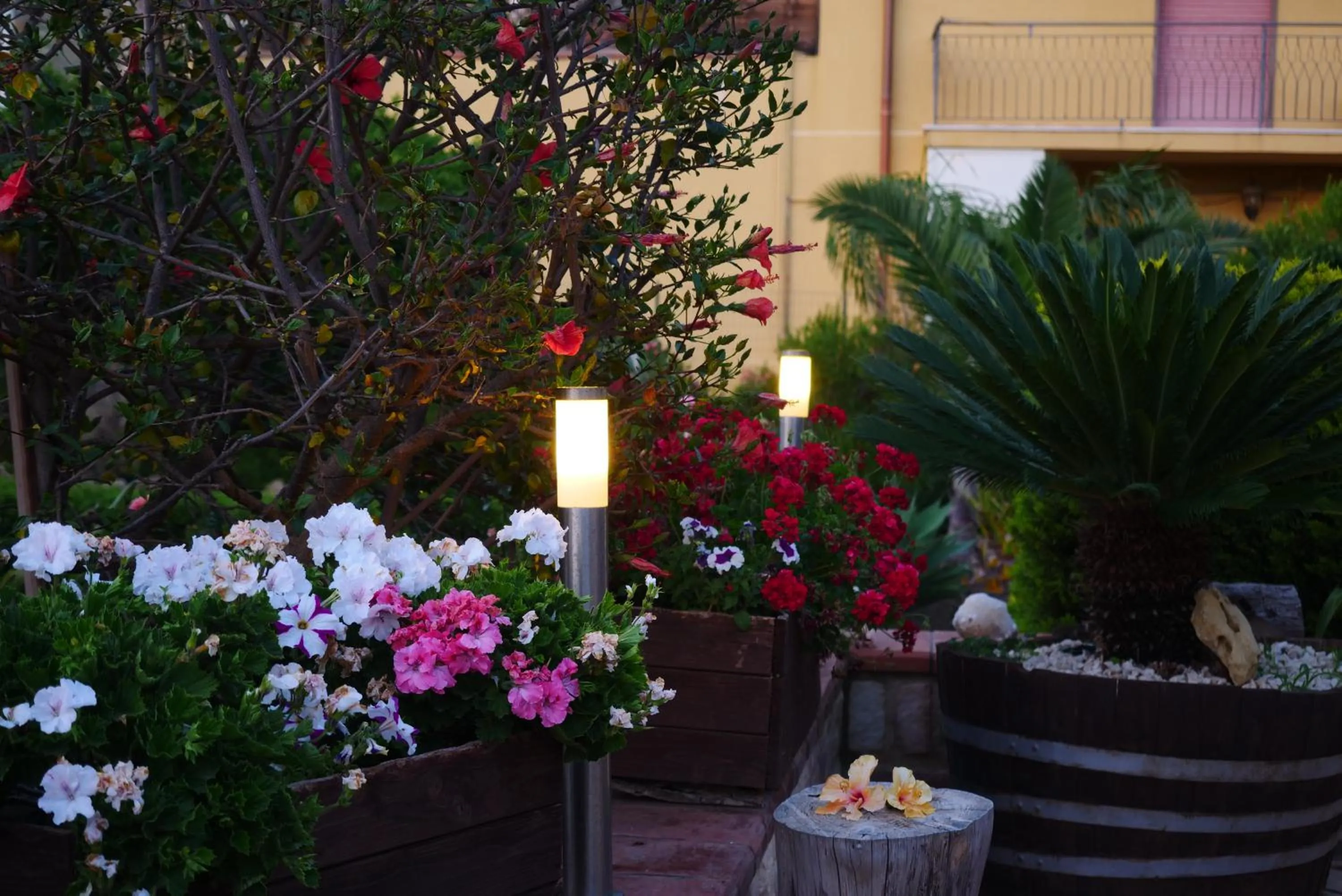 Garden in B&B Templi e Arte