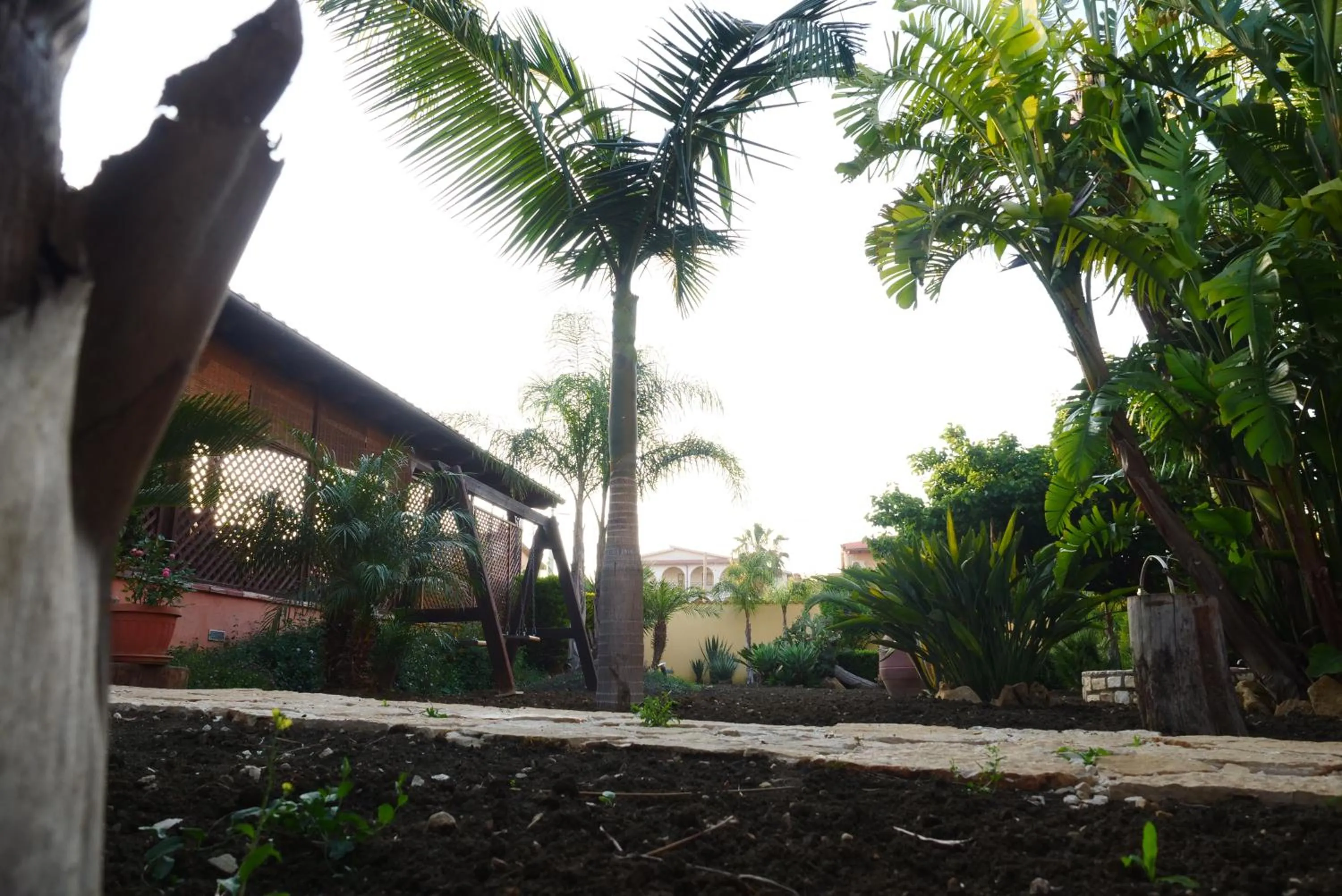 Garden in B&B Templi e Arte