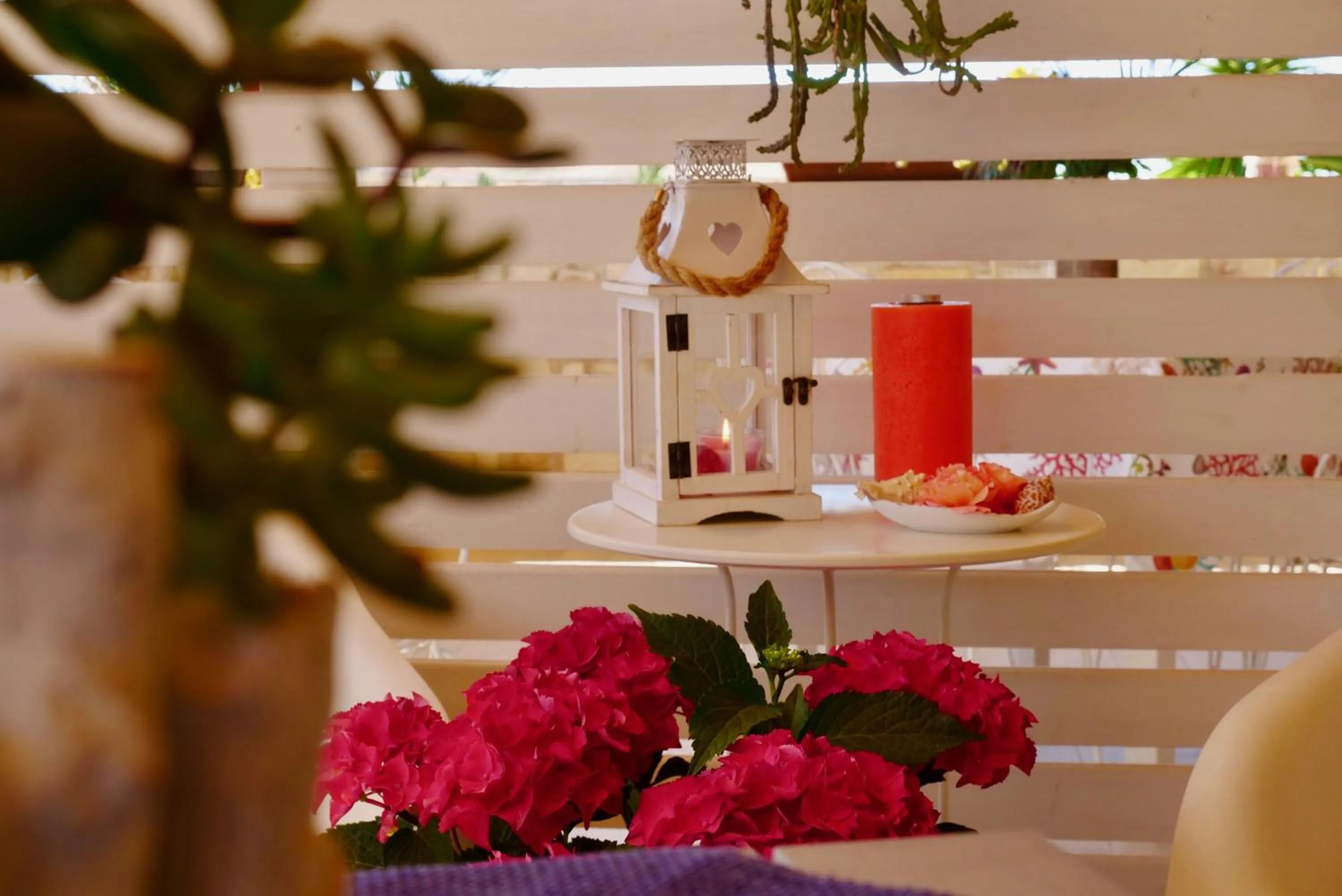 Balcony/Terrace in B&B Templi e Arte