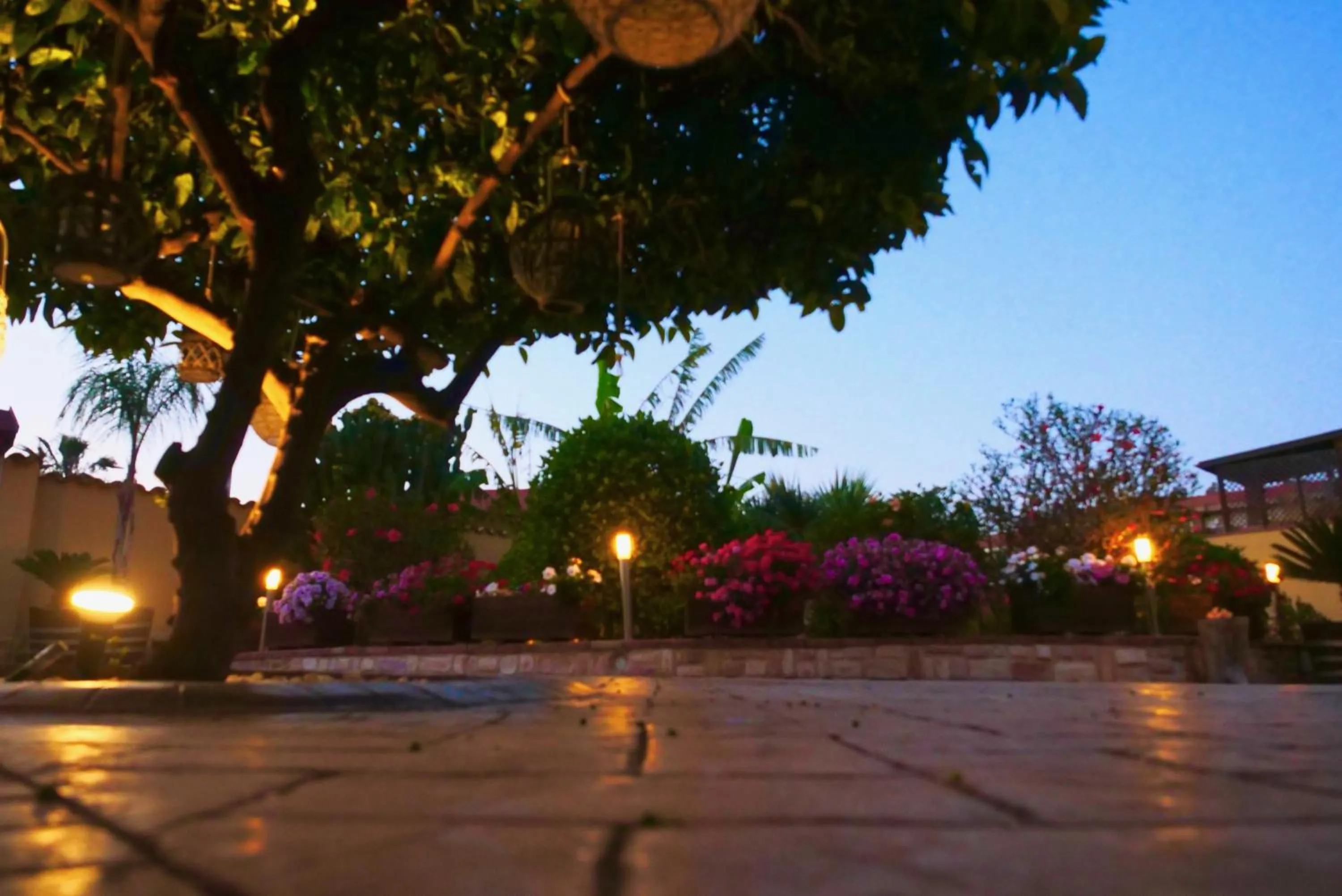 Garden in B&B Templi e Arte