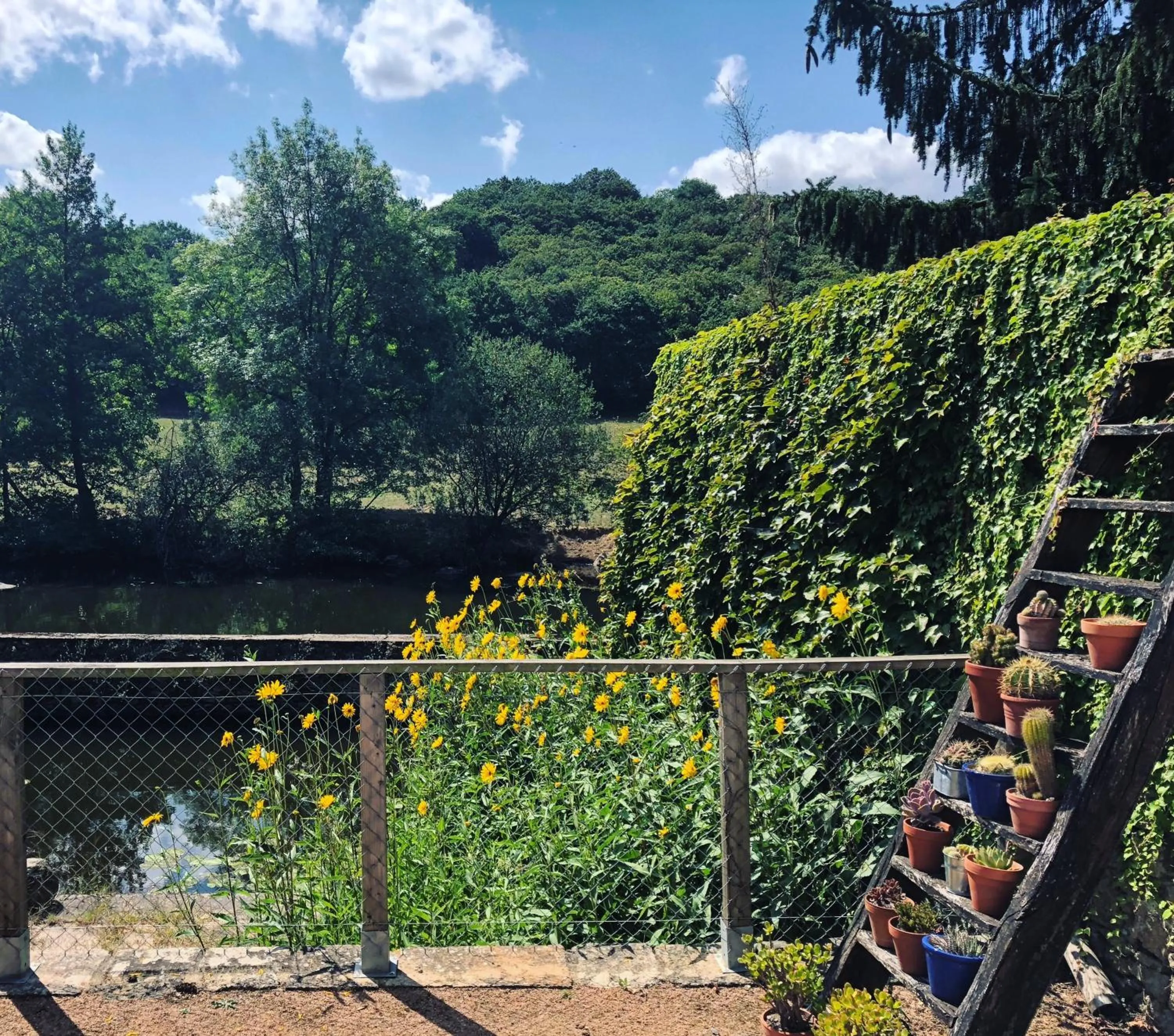 Patio in Moulin Pont Vieux Chambres d'hôtes