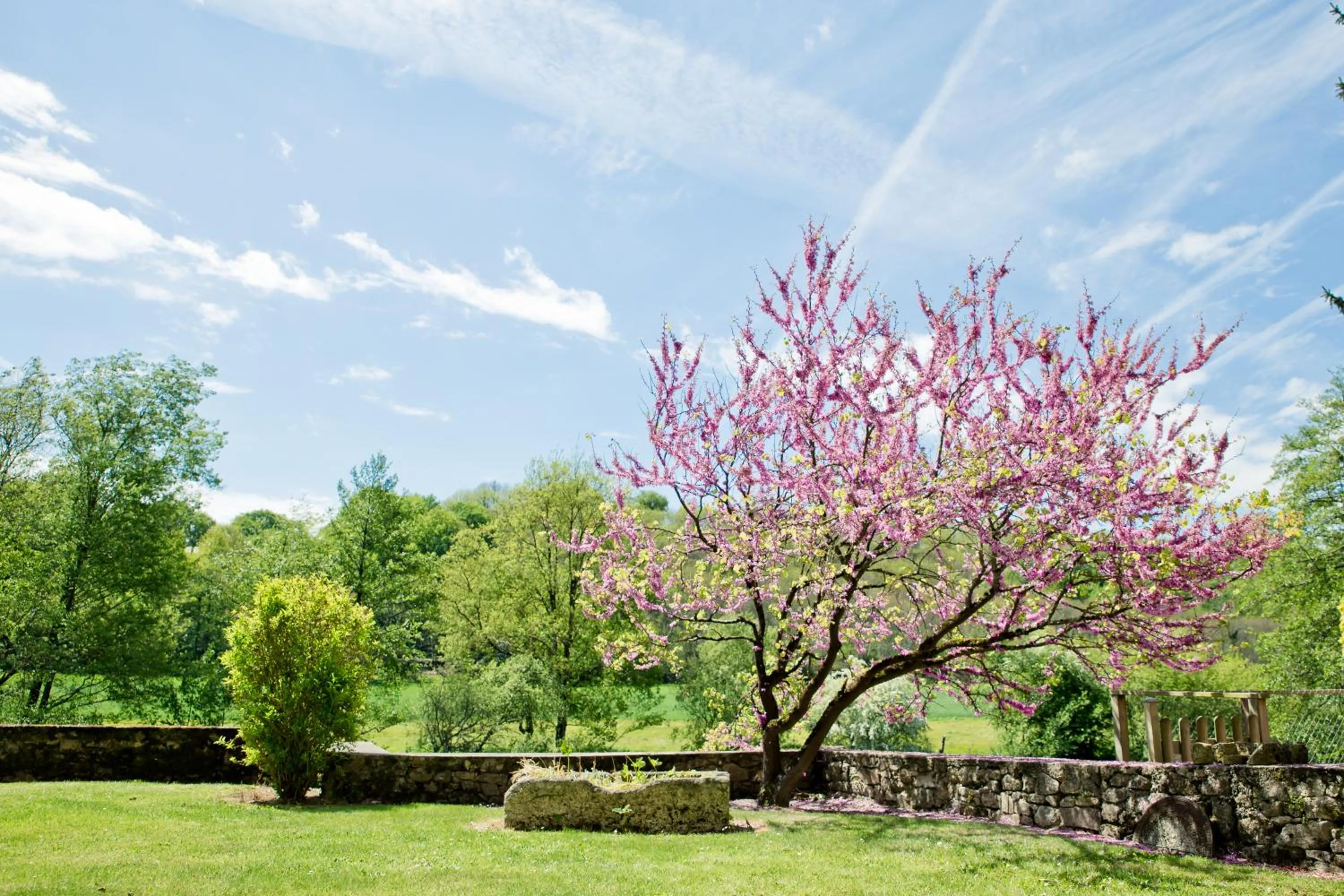 Patio in Moulin Pont Vieux Chambres d'hôtes