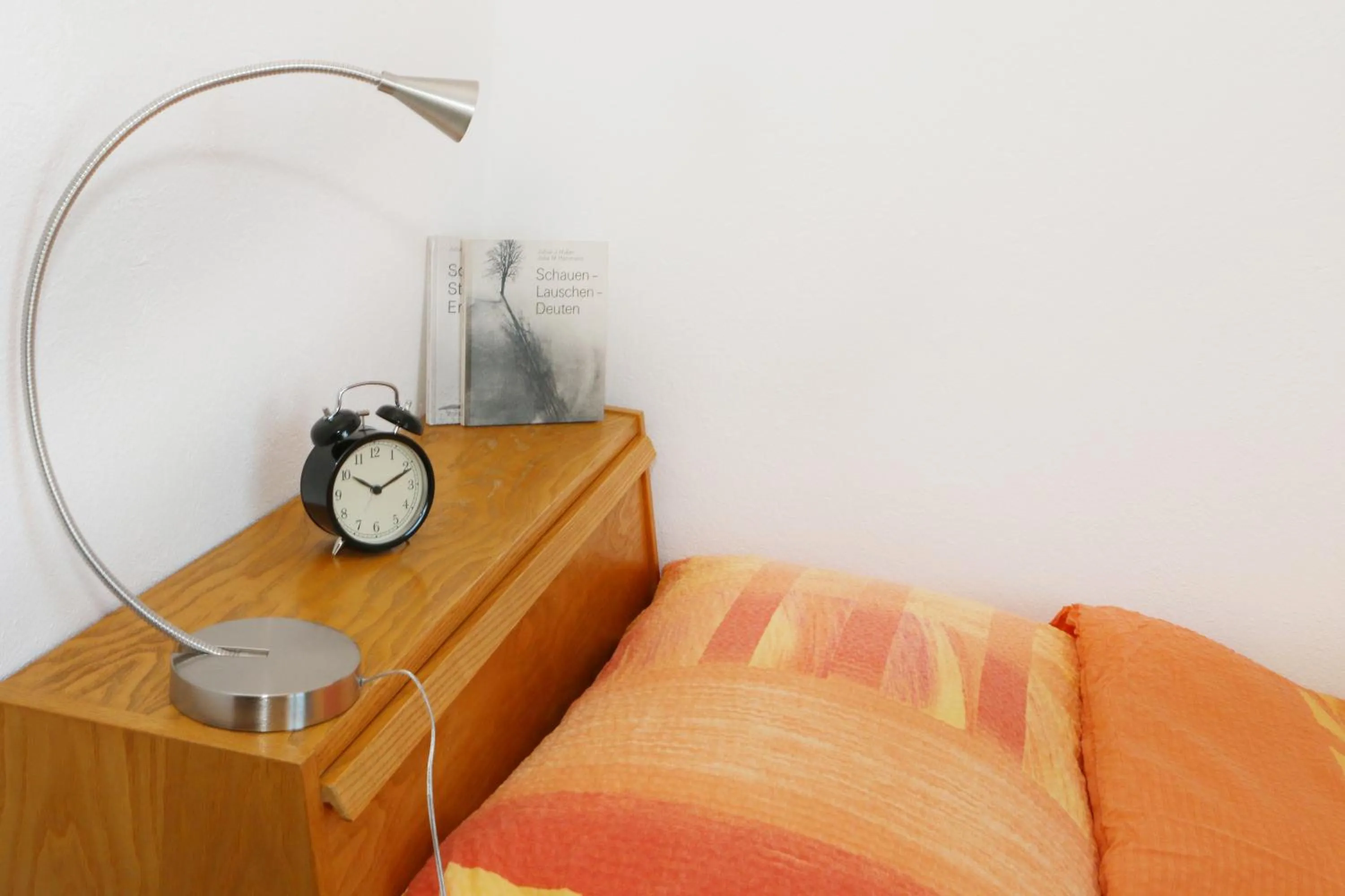 Single Room with Shared Bathroom in Allegro Alpin Lodge