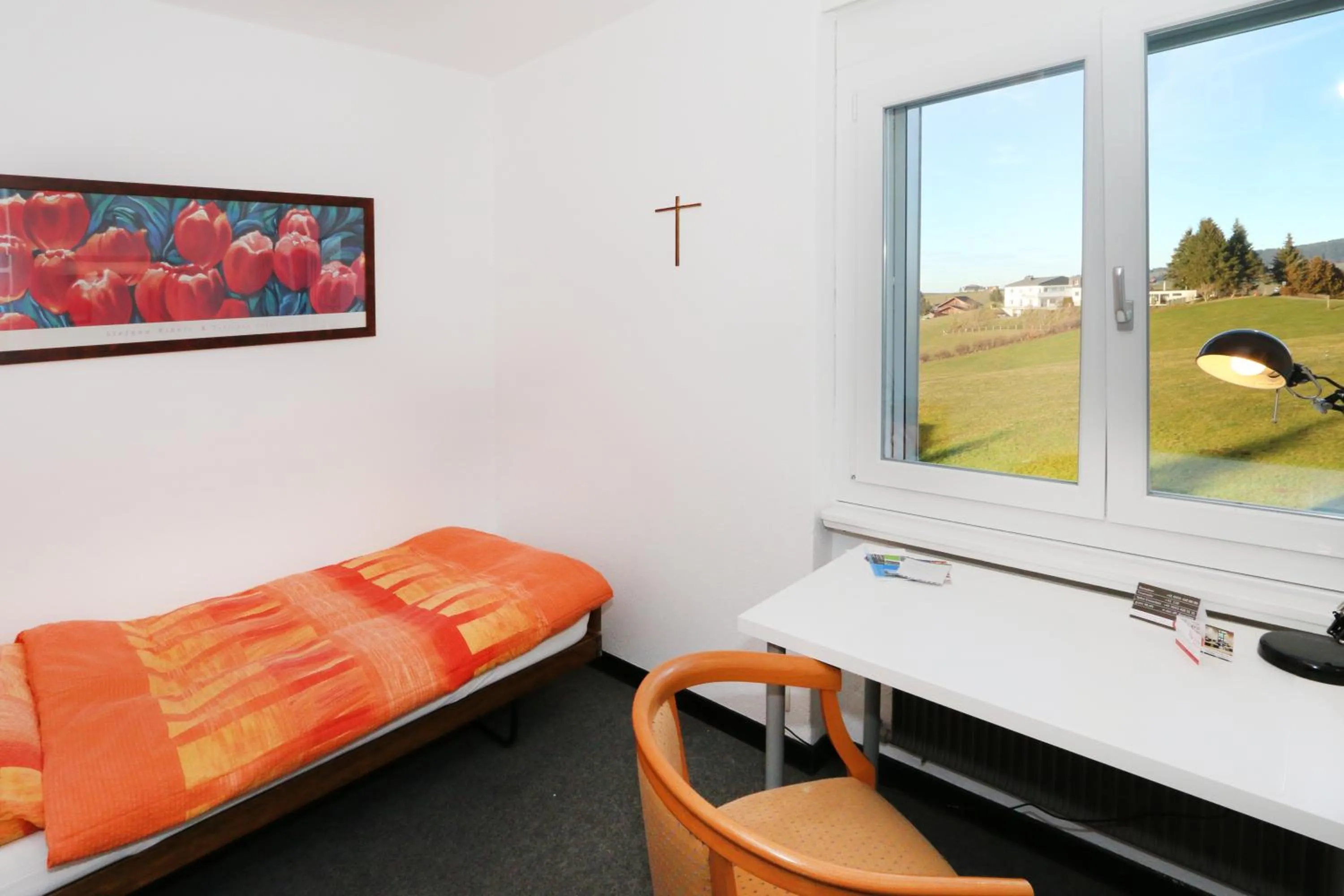 Single Room with Shared Bathroom in Allegro Alpin Lodge