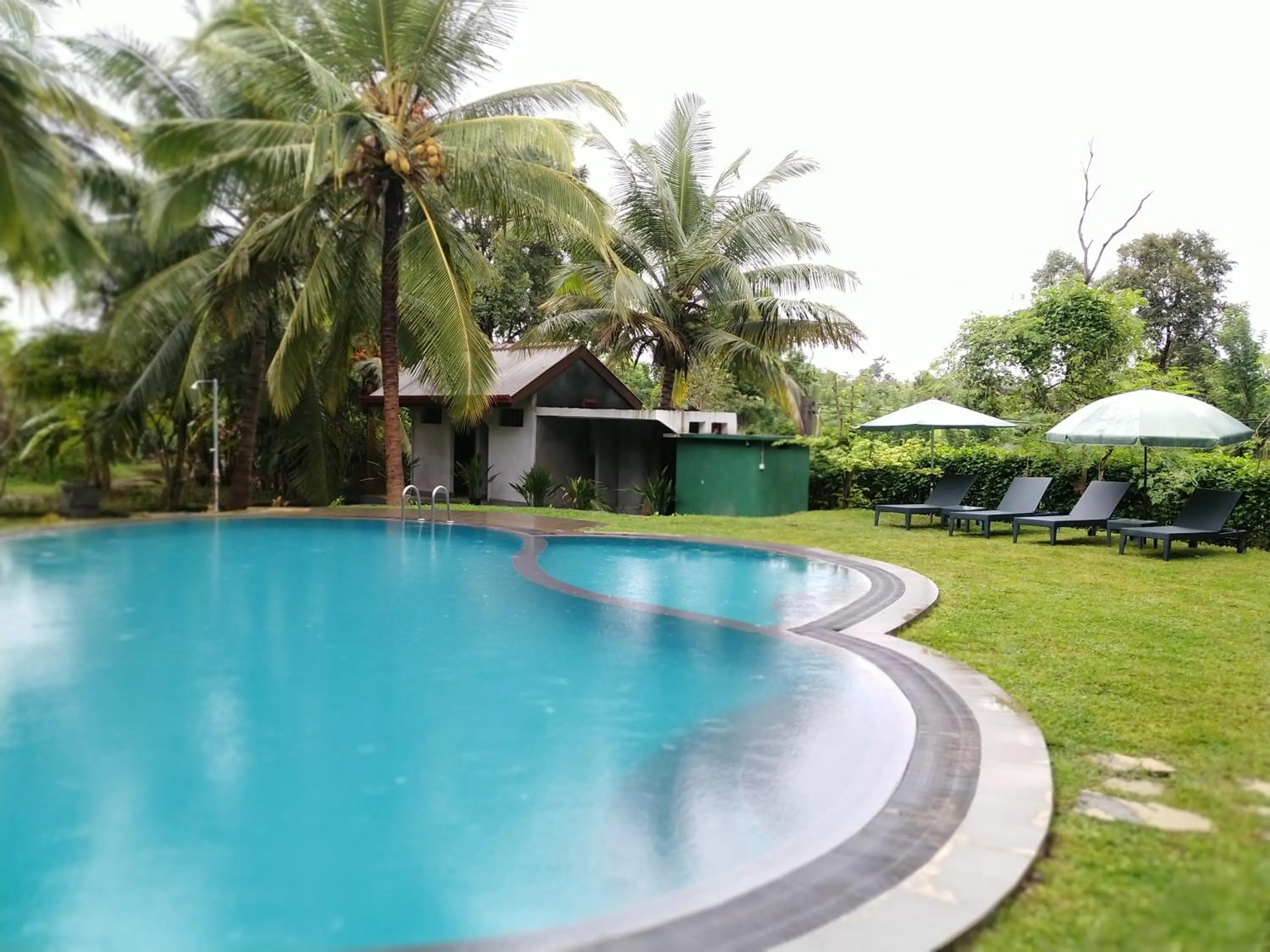 Swimming pool in The Nature Park Villa
