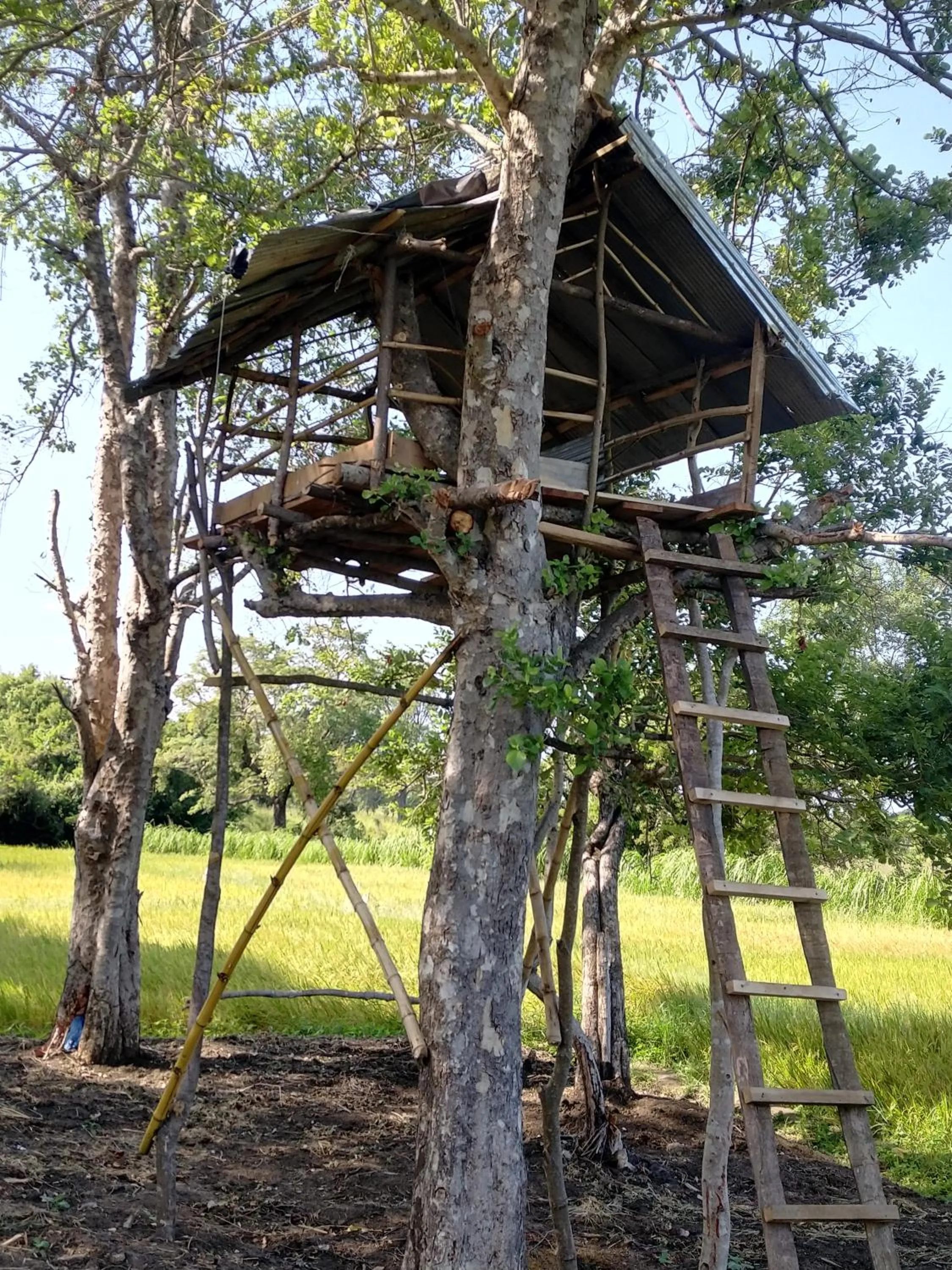 Garden in The Nature Park Villa