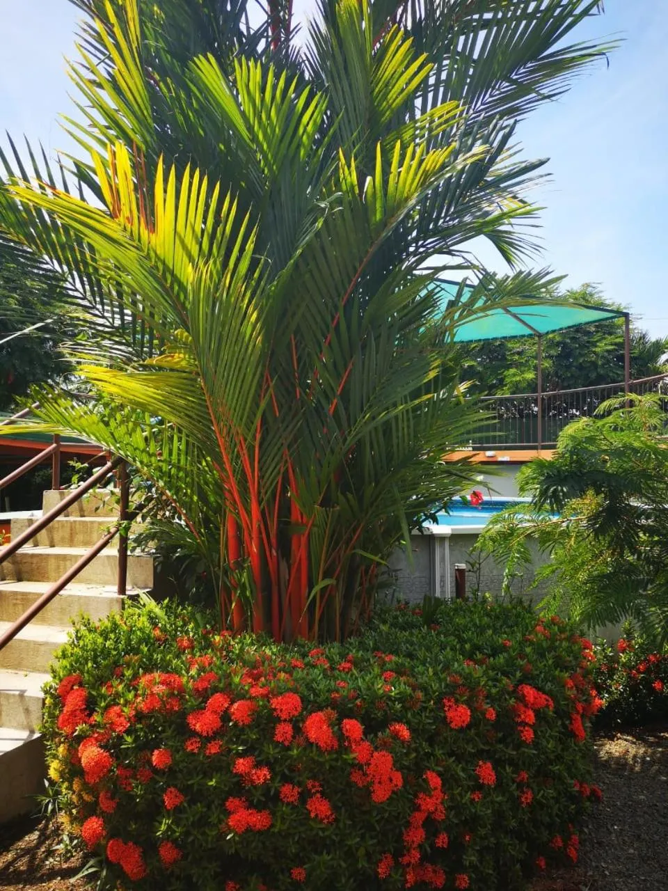 Garden in Hotel Cabinas el Tecal