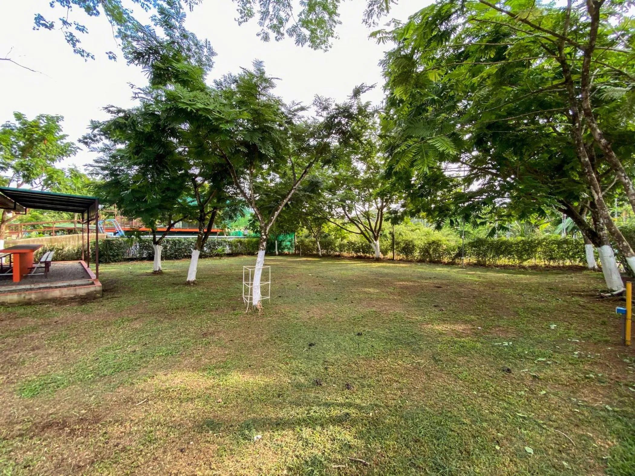 Patio in Hotel Cabinas el Tecal
