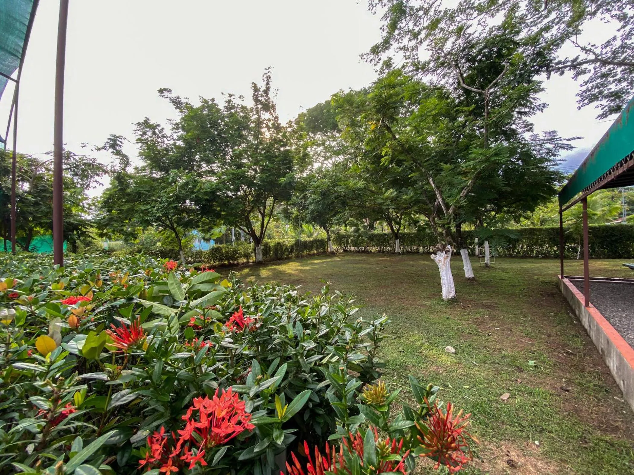 Garden in Hotel Cabinas el Tecal