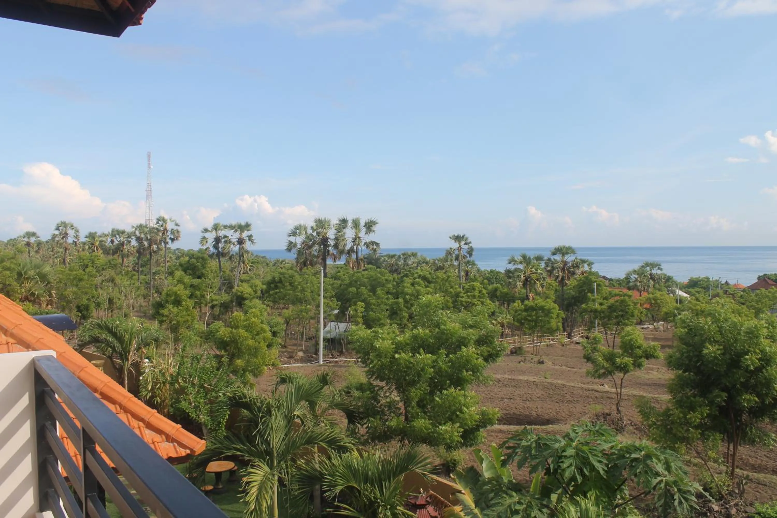 View (from property/room) in Ocean Villa Dive Resort - Tulamben
