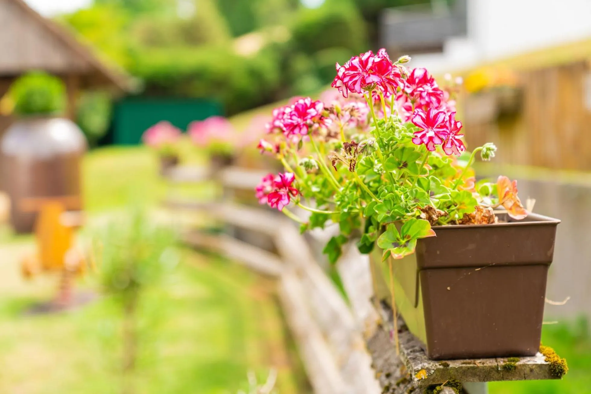 Property building in Gengs Linde