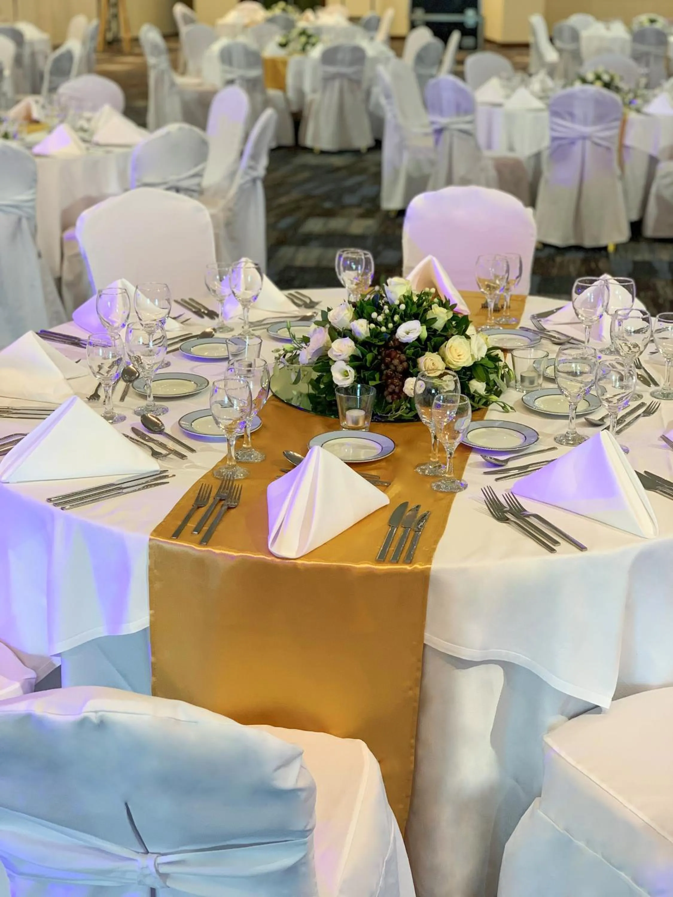 Banquet/Function facilities in Porto Carras Meliton