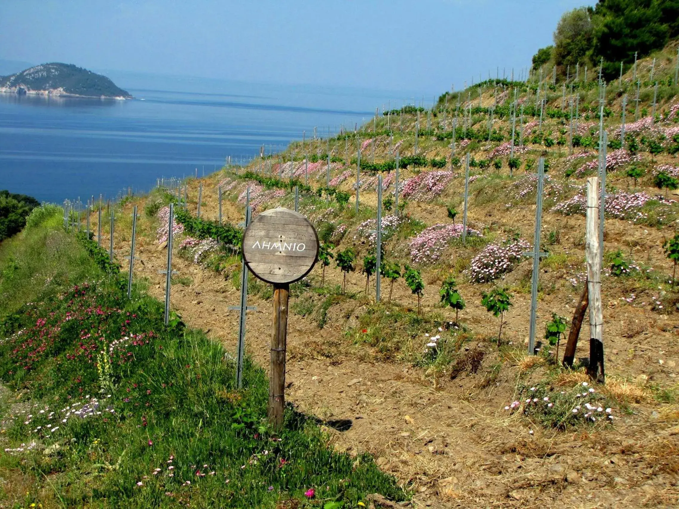 Sea view in Porto Carras Meliton Sea view in Porto Carras Meliton