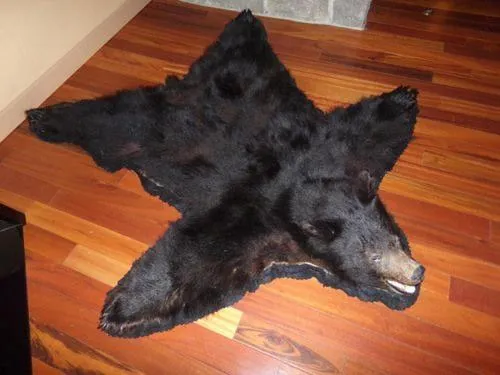 Lobby or reception in Cowlitz River Lodge