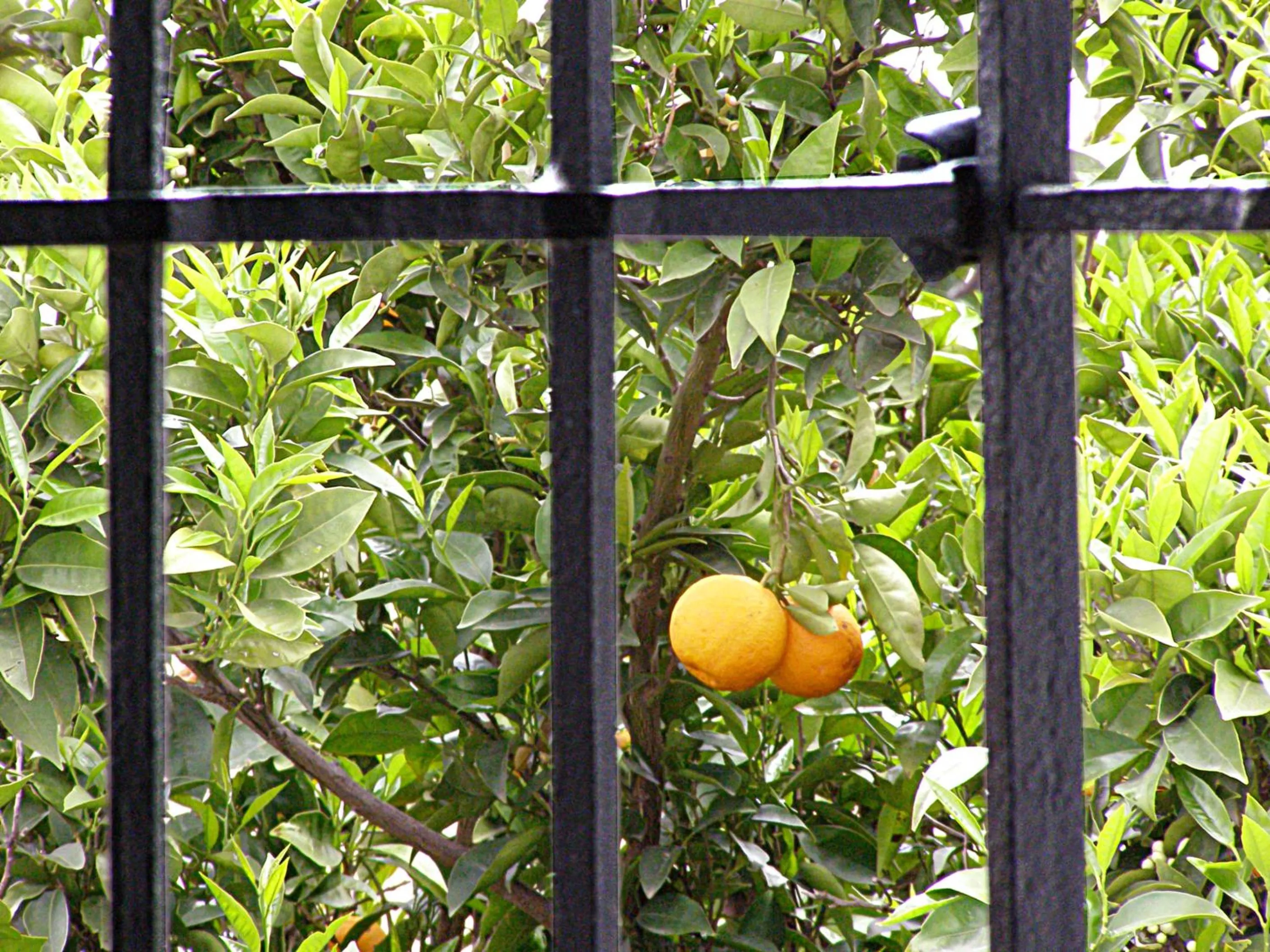 Facade/entrance in Hotel Soho Boutique Palacio San Gabriel