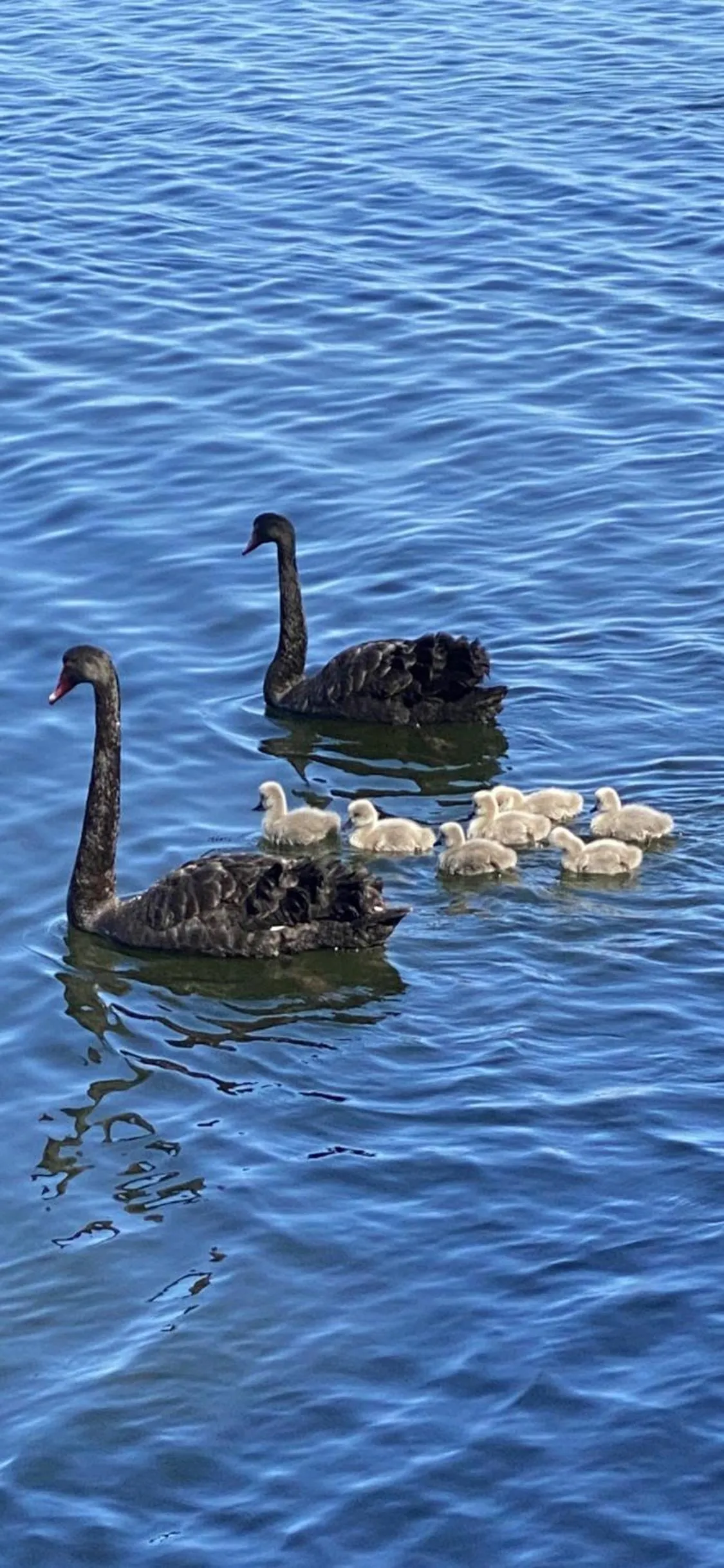 Day in Lakeside Motel Waterfront