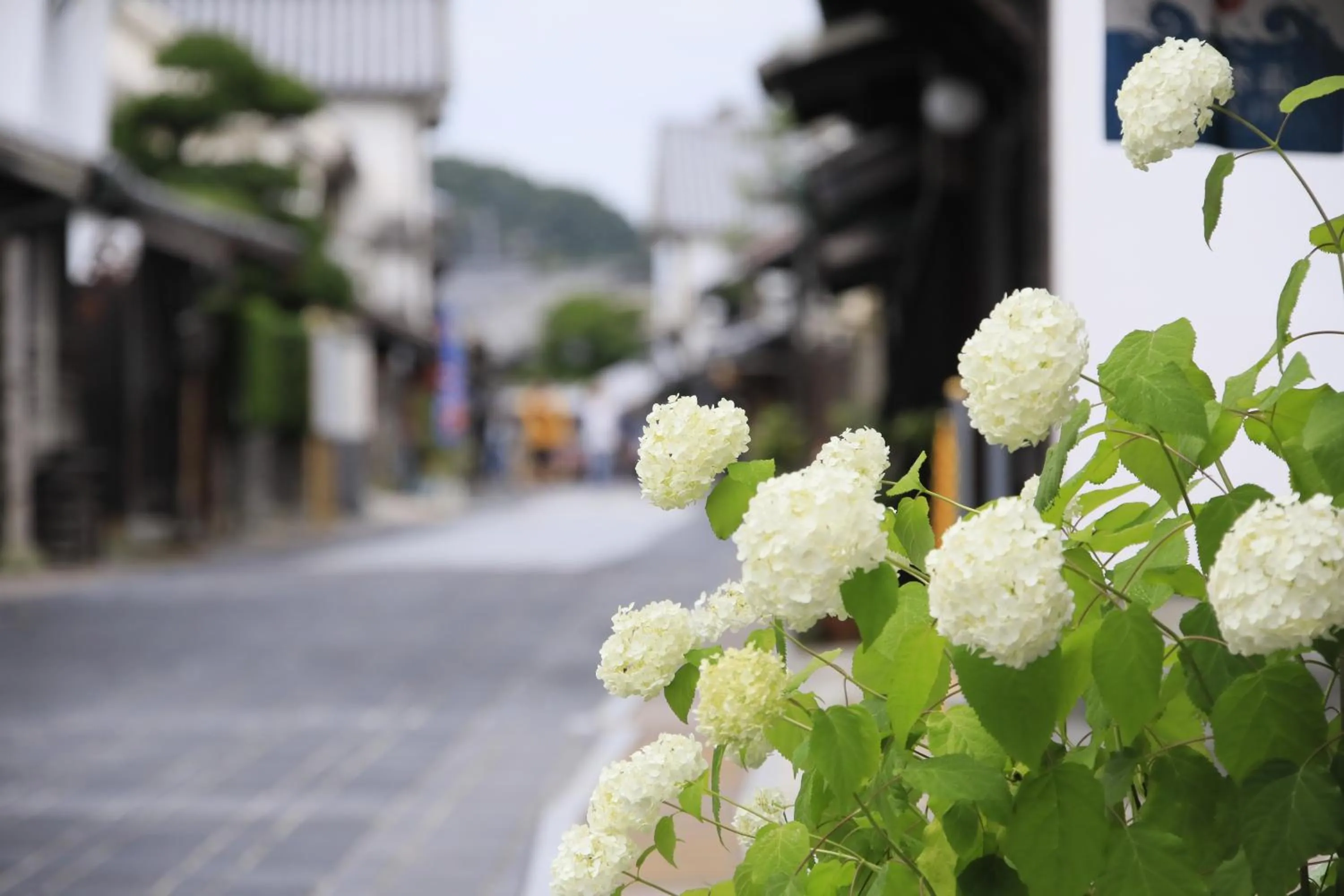 Nearby landmark in Hotel Kamogawaso
