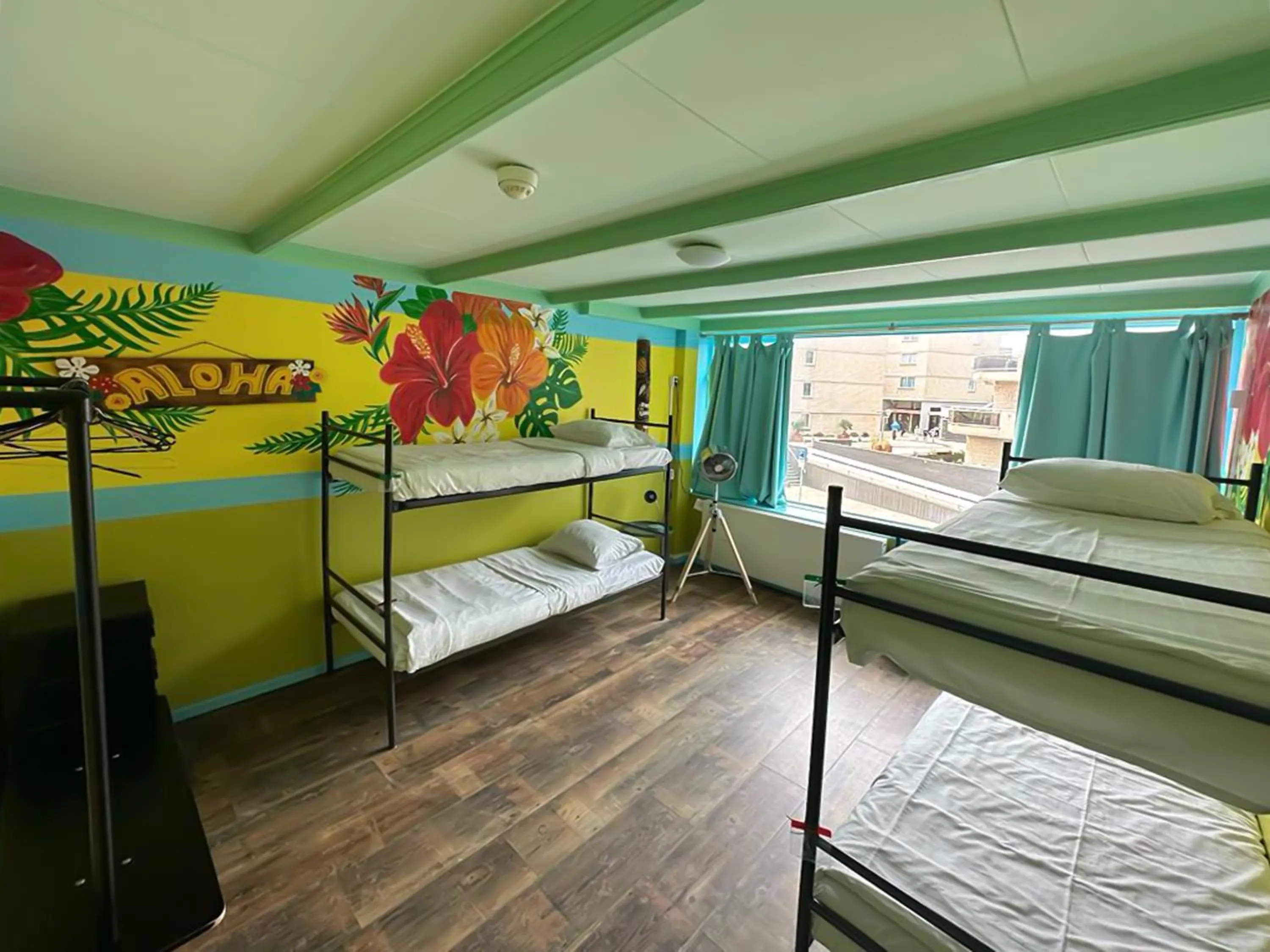 Bedroom, Bed in The Flying Pig Beach Hostel Age 18 to 40