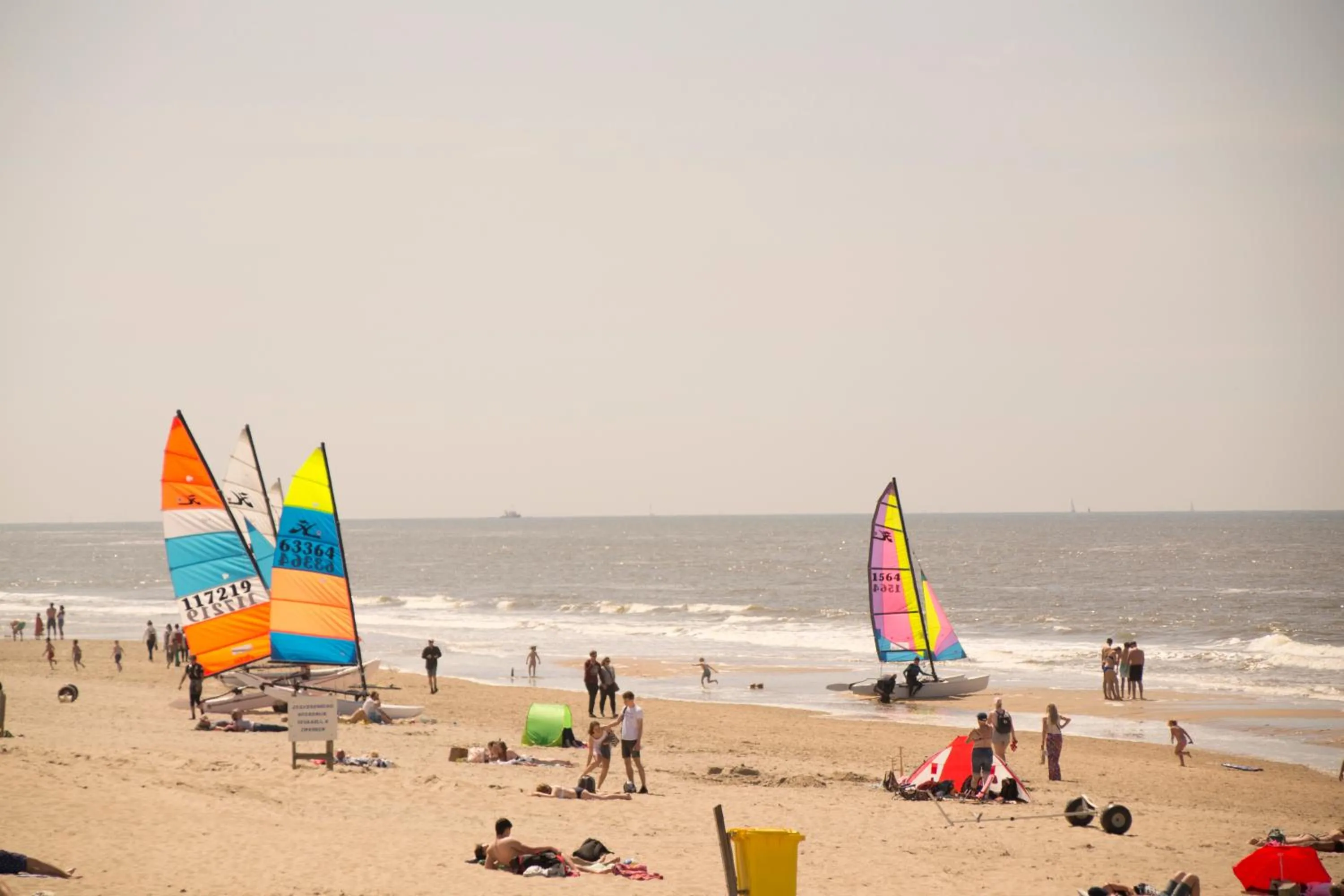 People in The Flying Pig Beach Hostel Age 18 to 40