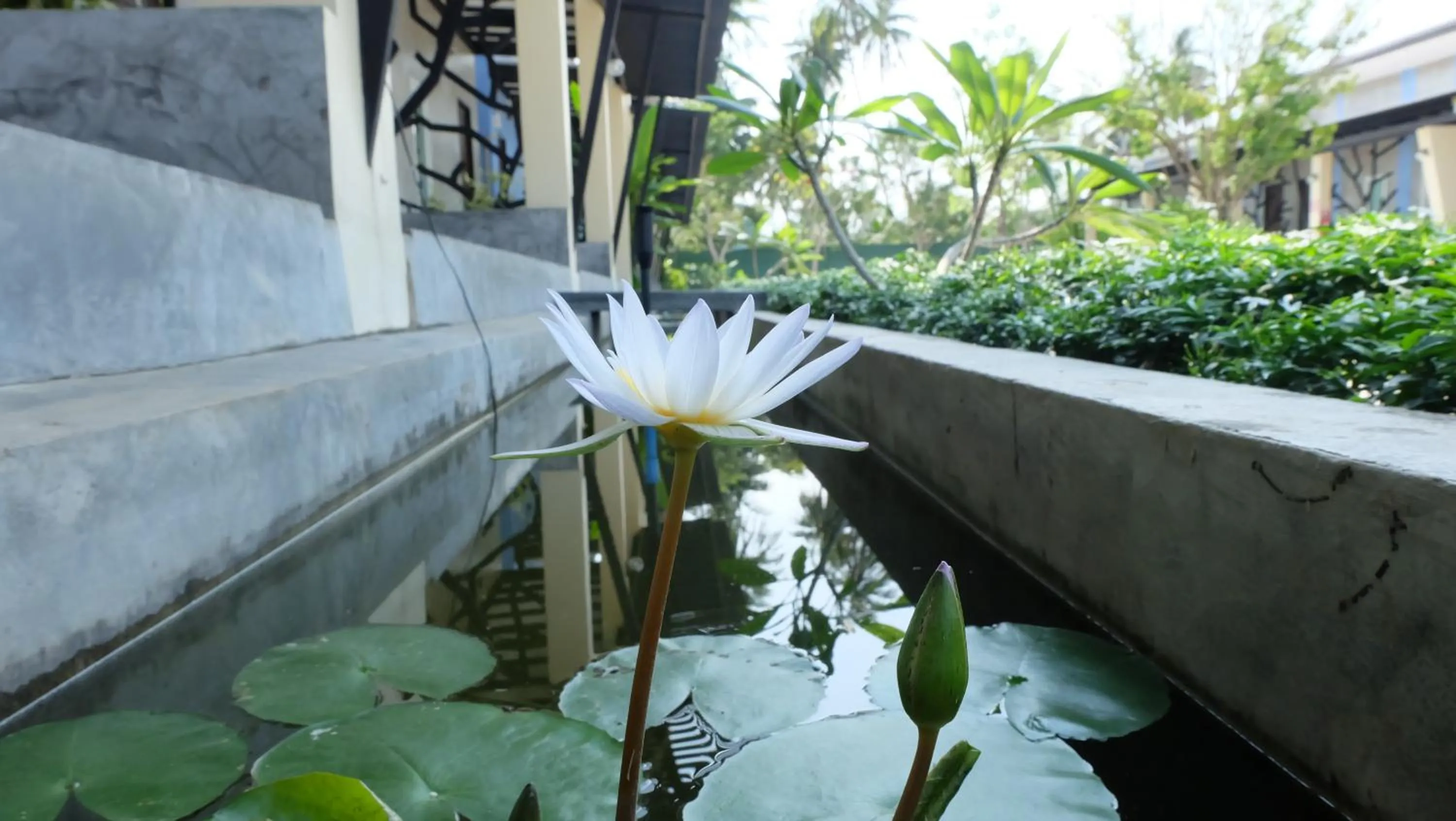 Garden in Lullaby Boutique Resort