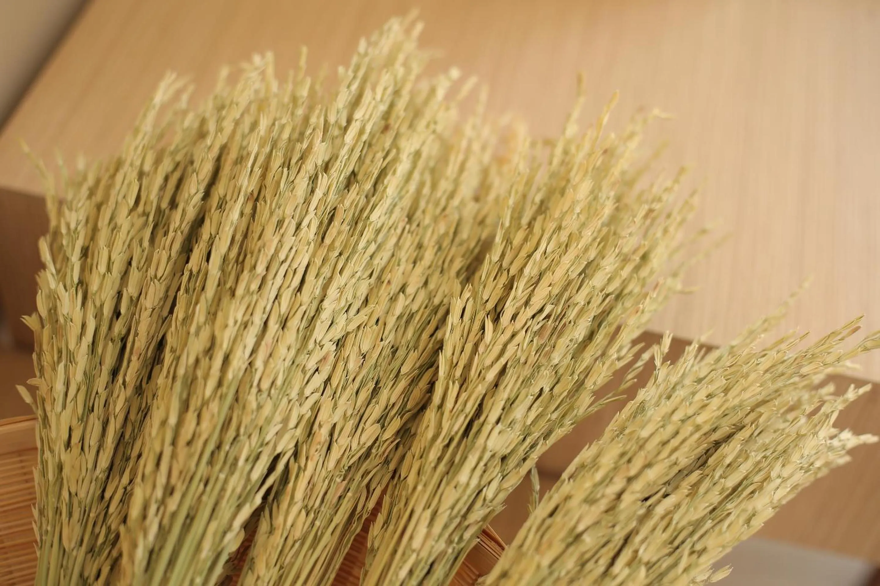 Decorative detail in Navela Hotel & Convention