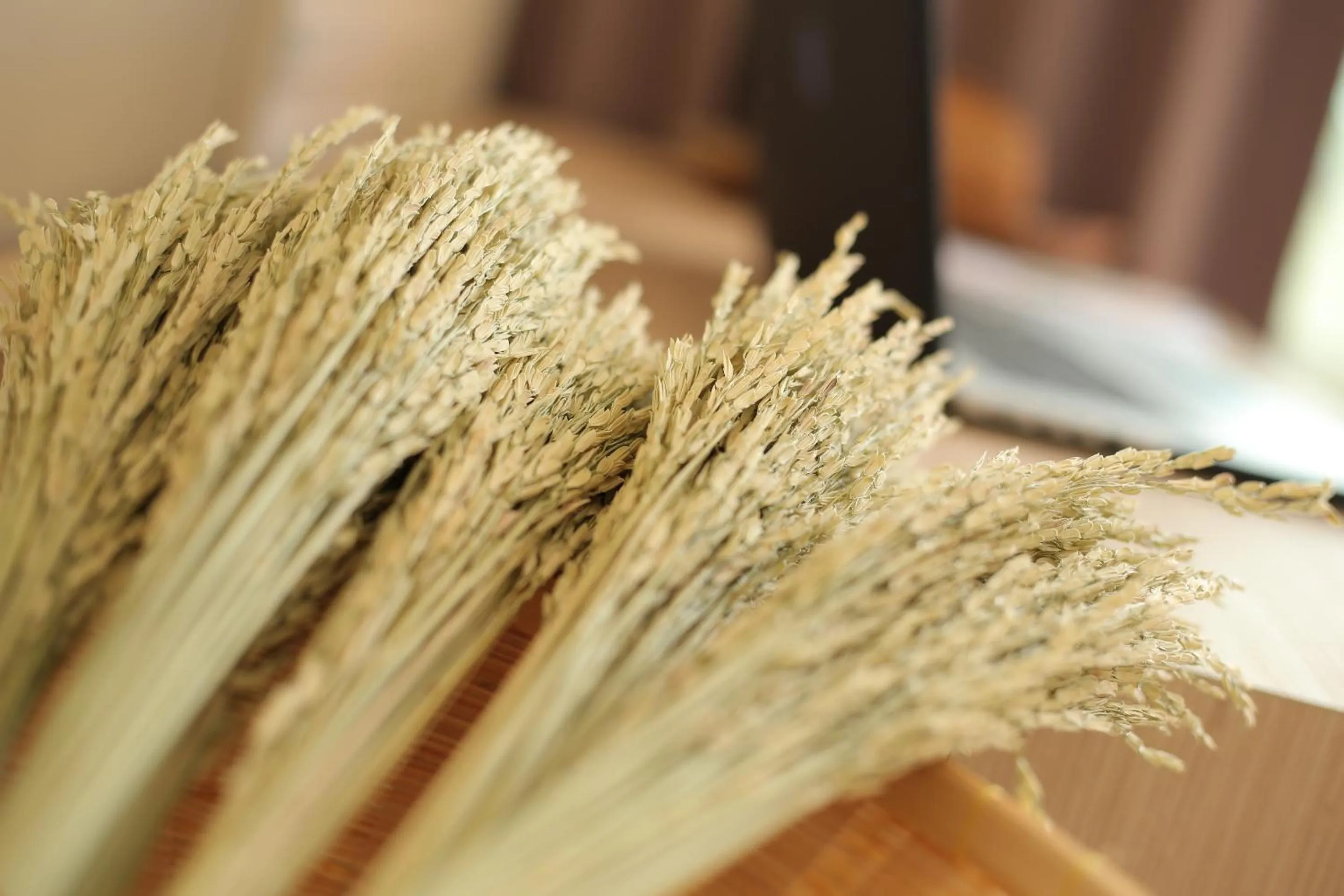 Other in Navela Hotel & Convention