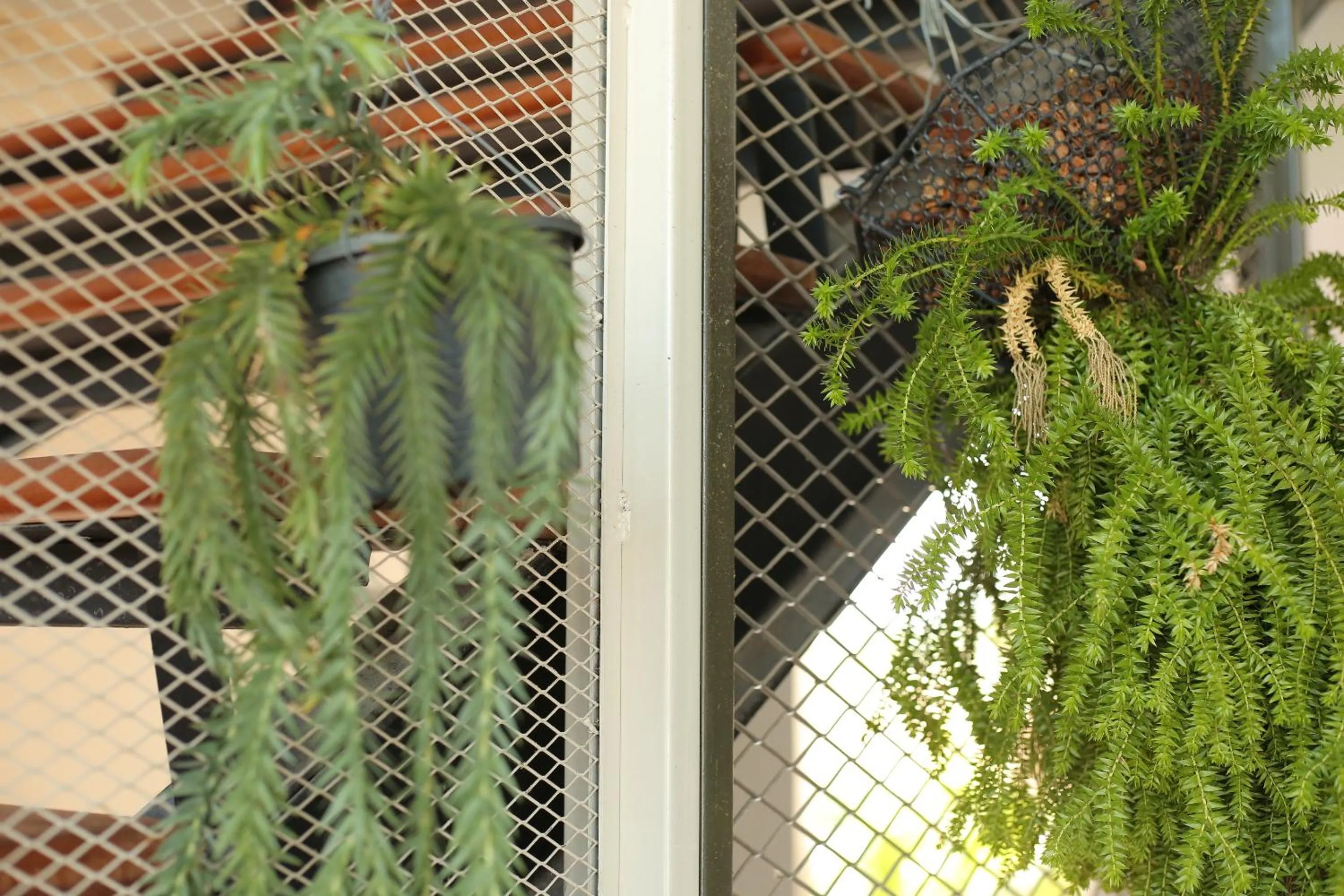 Decorative detail in Navela Hotel & Convention