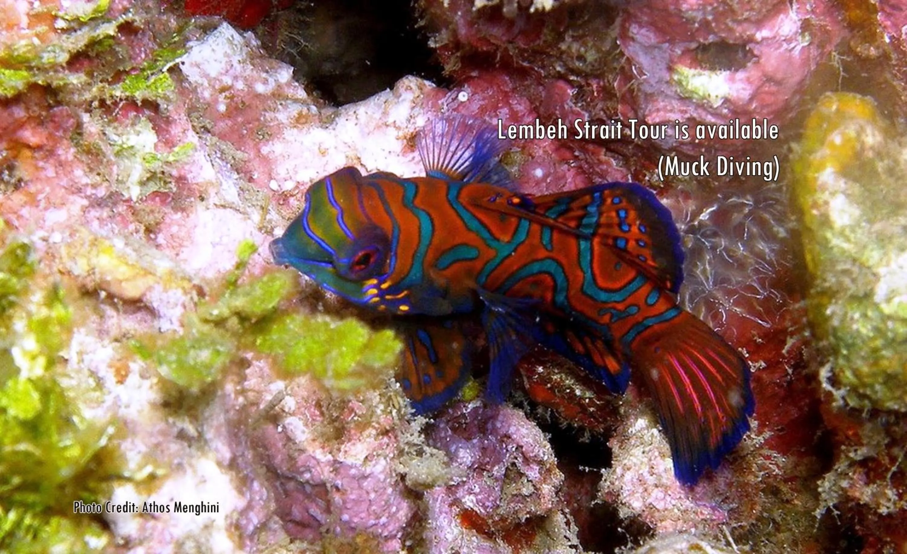 Diving in Botanica Nature Resort