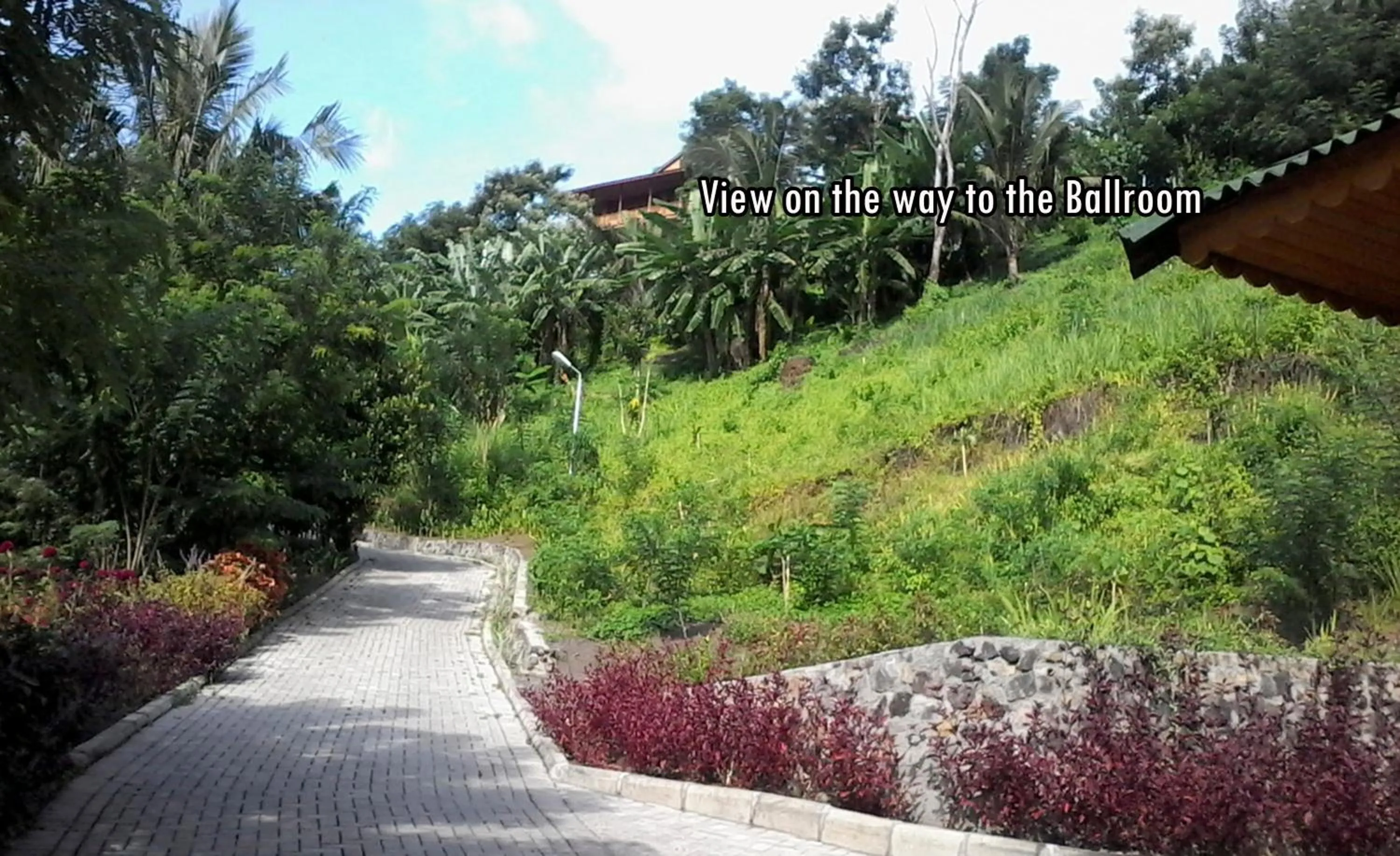 Natural landscape in Botanica Nature Resort