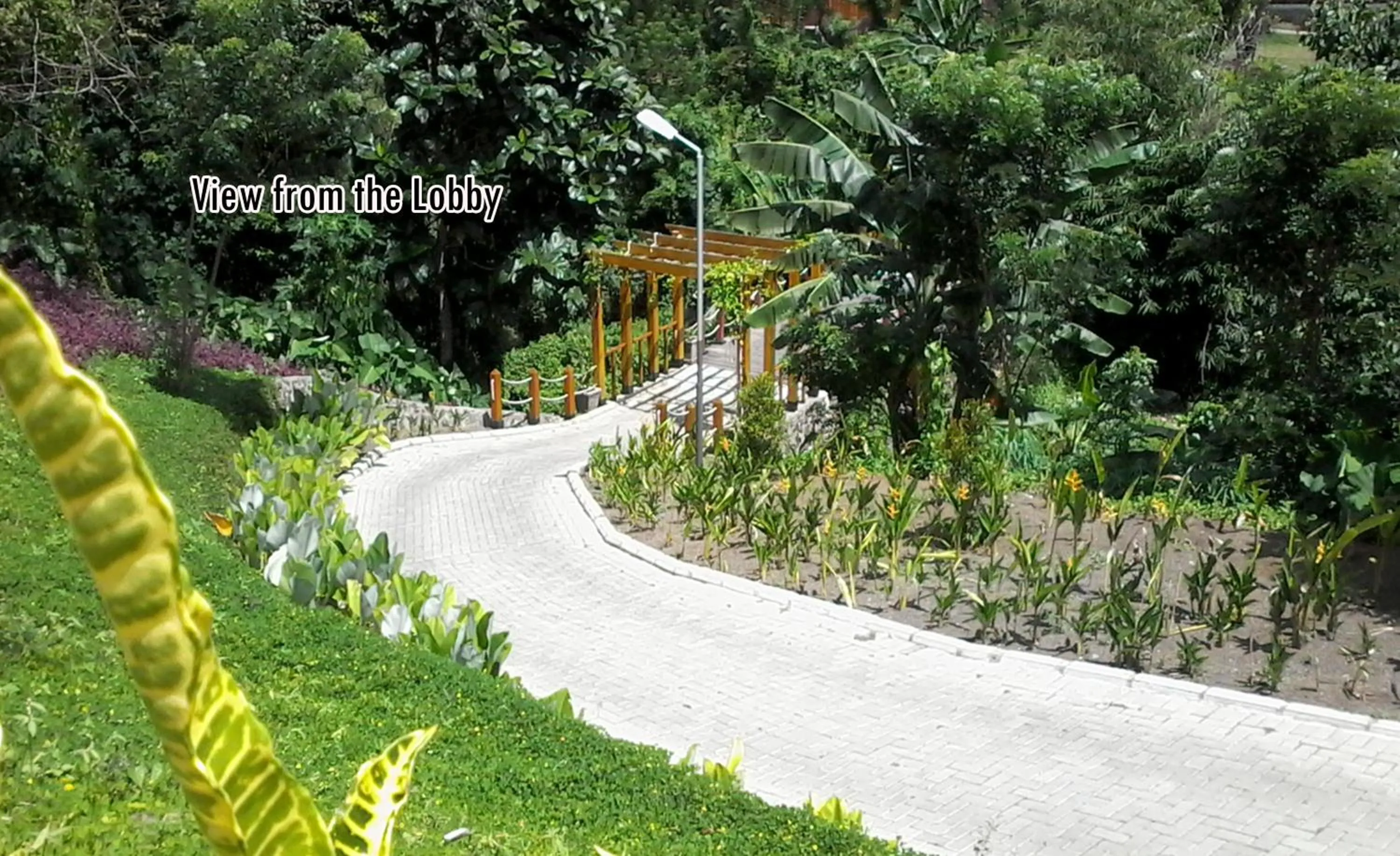 Nearby landmark in Botanica Nature Resort