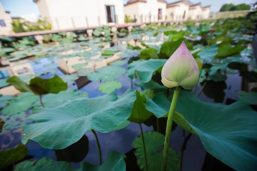 Other in Bua Tara Resort