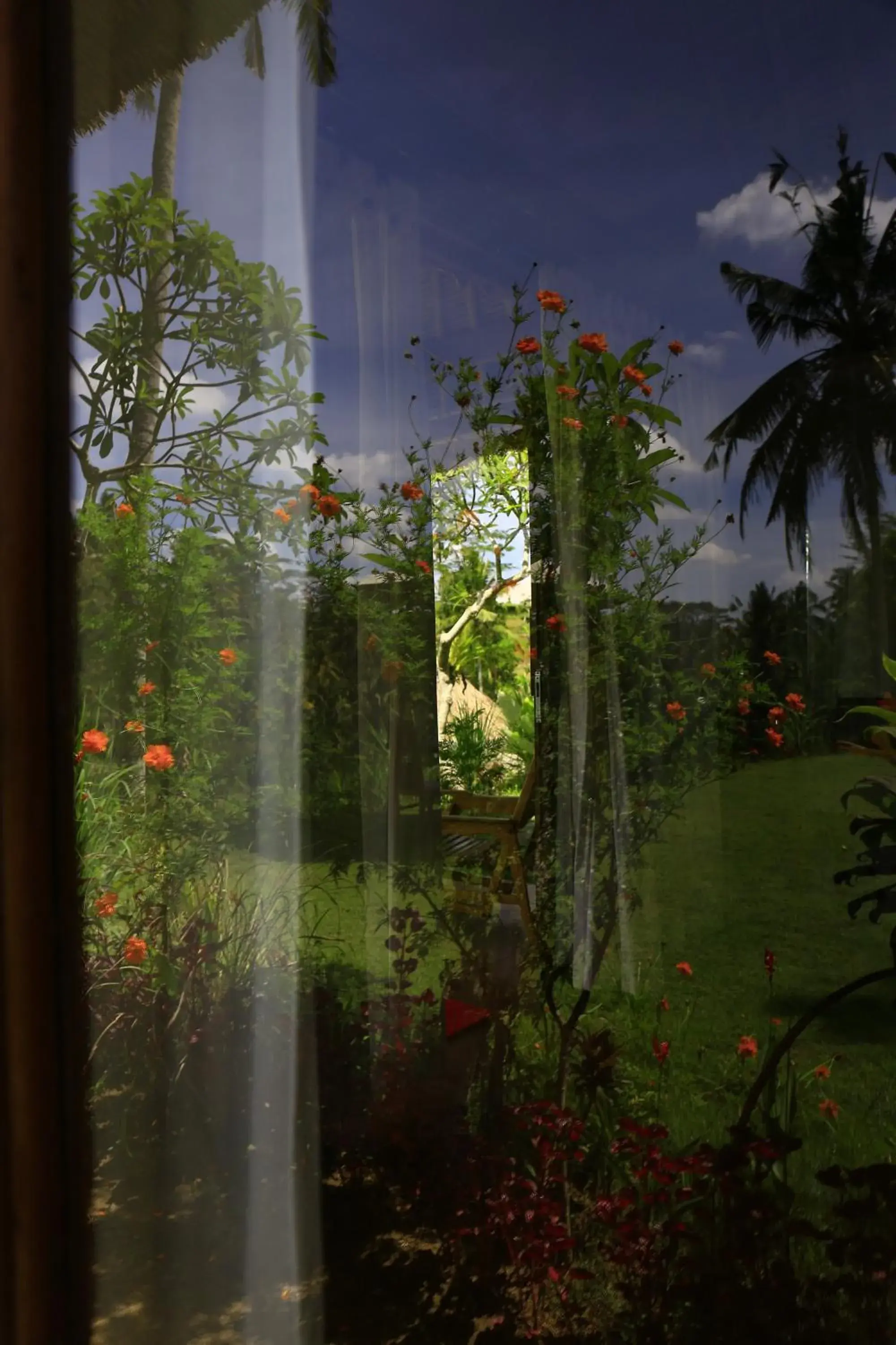 Garden view in Bersila La Maison Du Bonheur Garden view in Bersila La Maison Du Bonheur