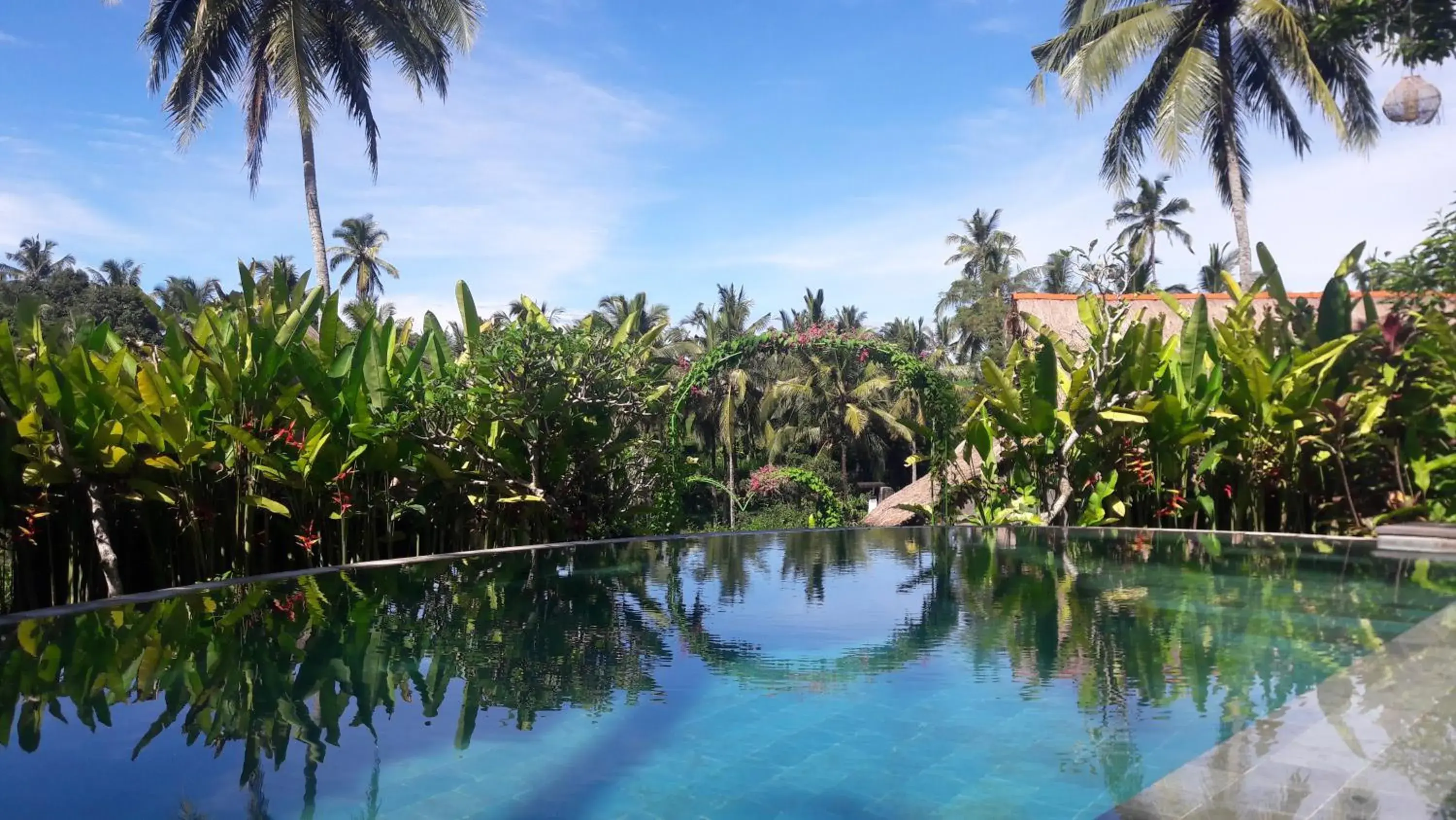 Swimming pool in Bersila La Maison Du Bonheur Swimming pool in Bersila La Maison Du Bonheur