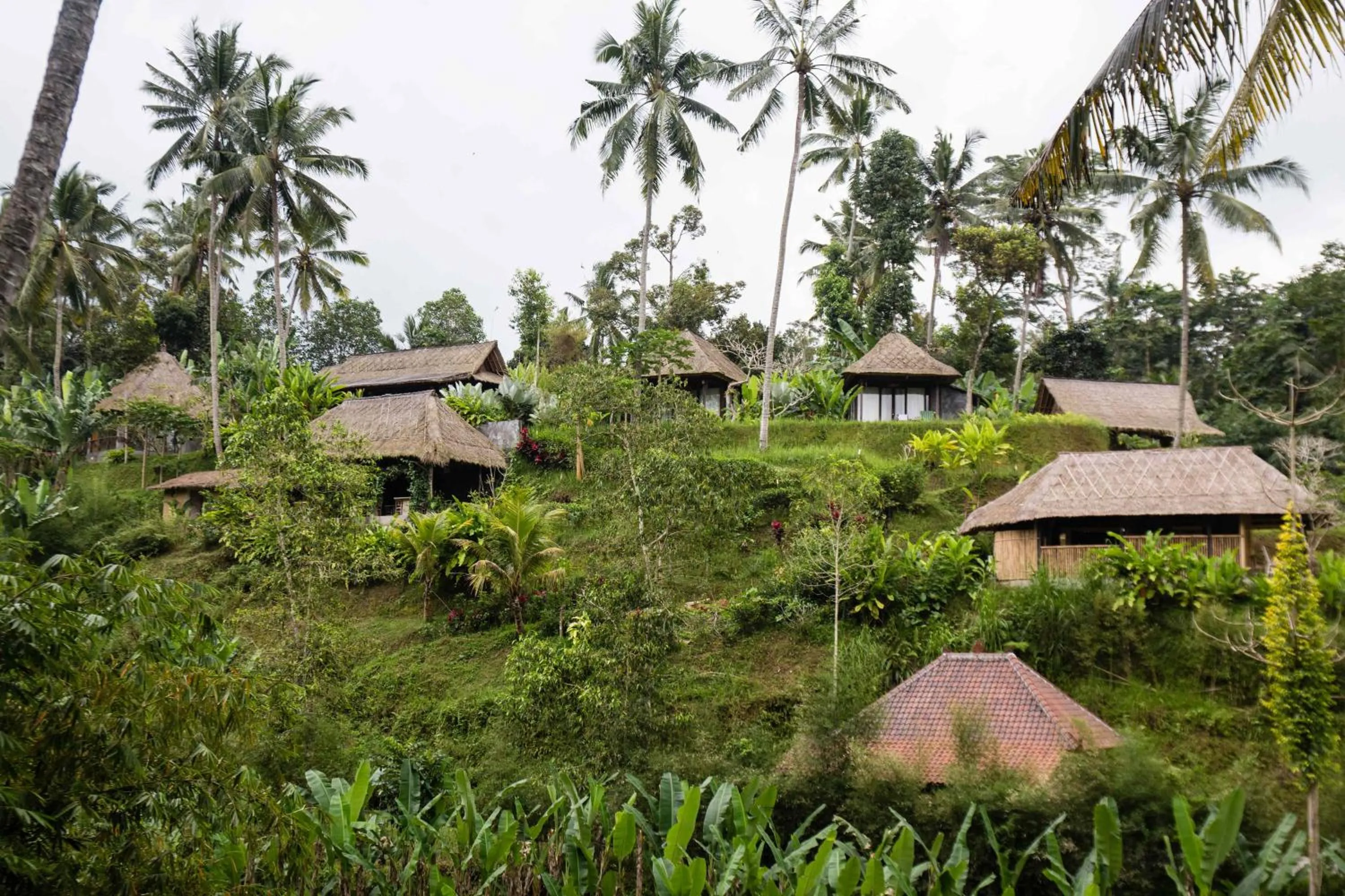 Property building in Bersila La Maison Du Bonheur